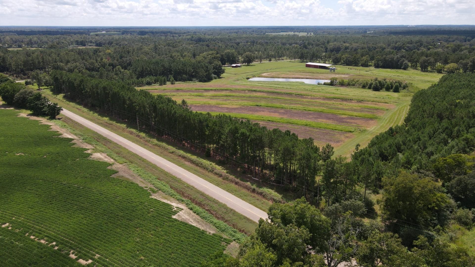 0 Harvey Hicks Road, Pansey, AL 36370 Land and Farm