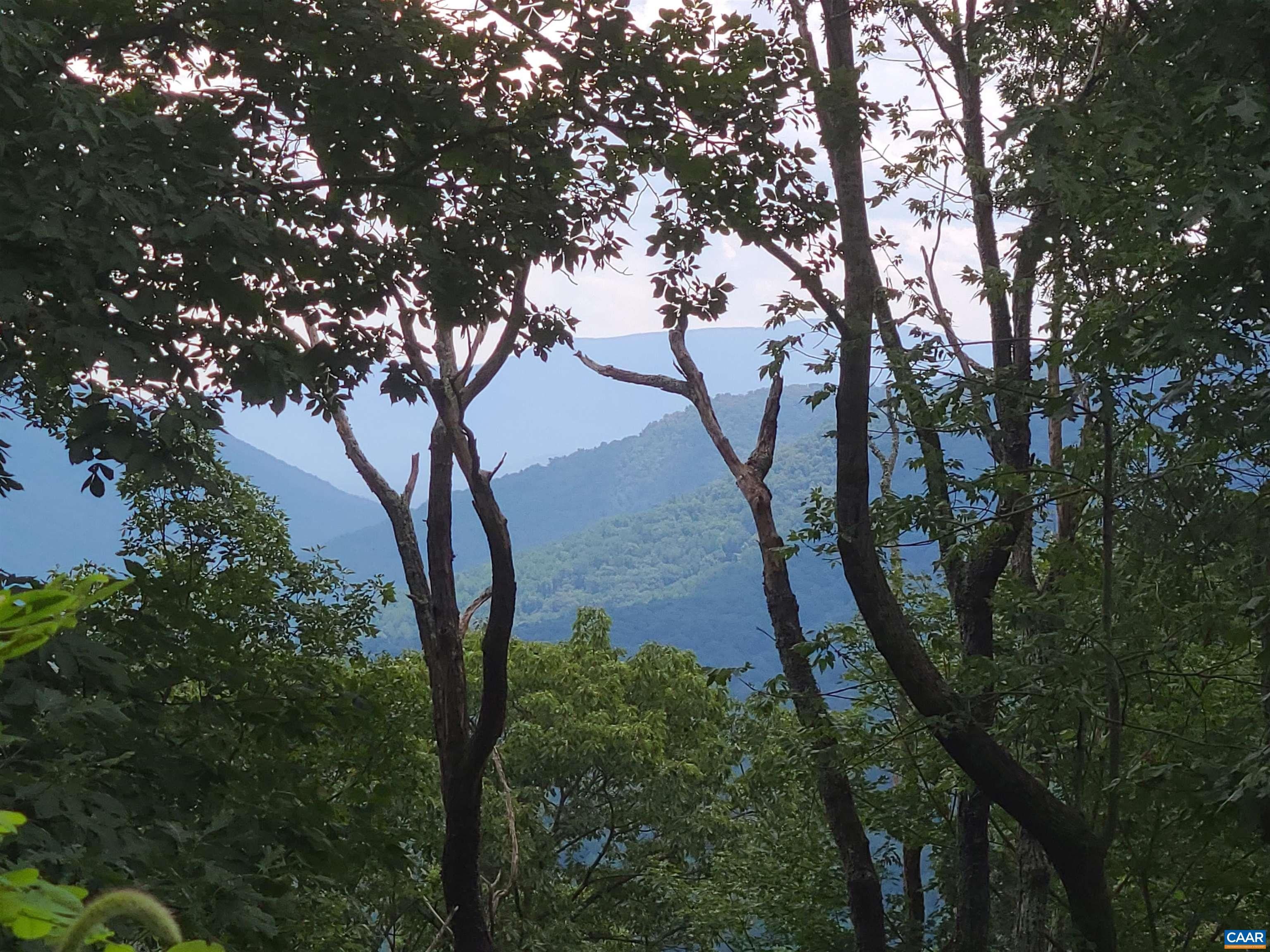 5 Acres, 0 SHIFFLETT RD, Dyke, VA 22935 Land and Farm