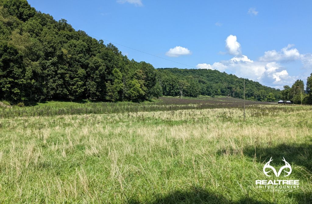 44.06 Acres, Erwin Hollow Rd, Jackson, OH 45640 Land and Farm