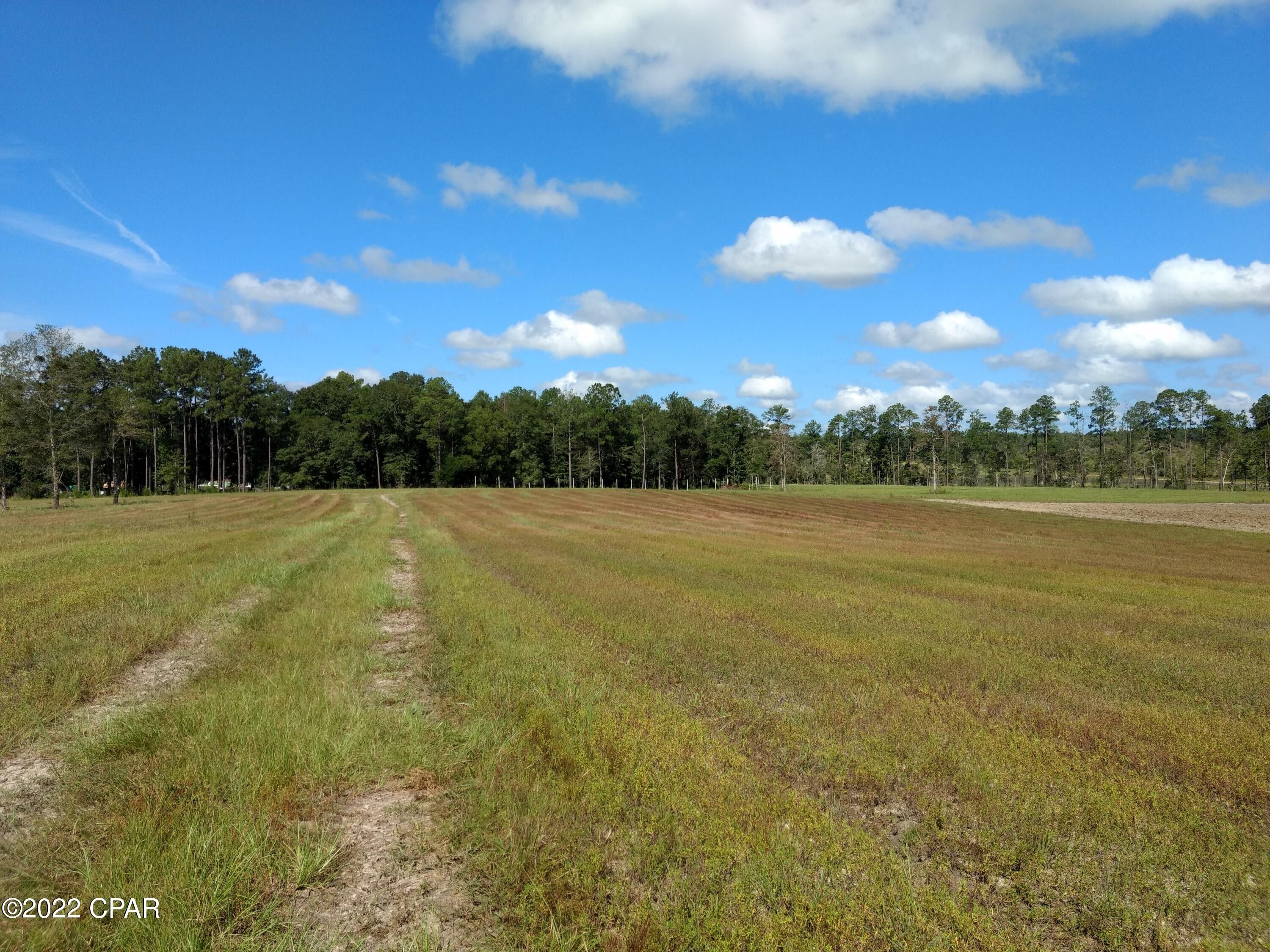 84.66 Acres, 1401 Lake Victor Road, Westville, FL 32464 Land and Farm