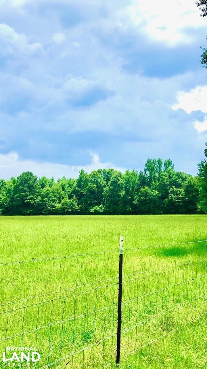 20 Acres, 0 Draper Rd, Somerville, AL 35670 Land and Farm