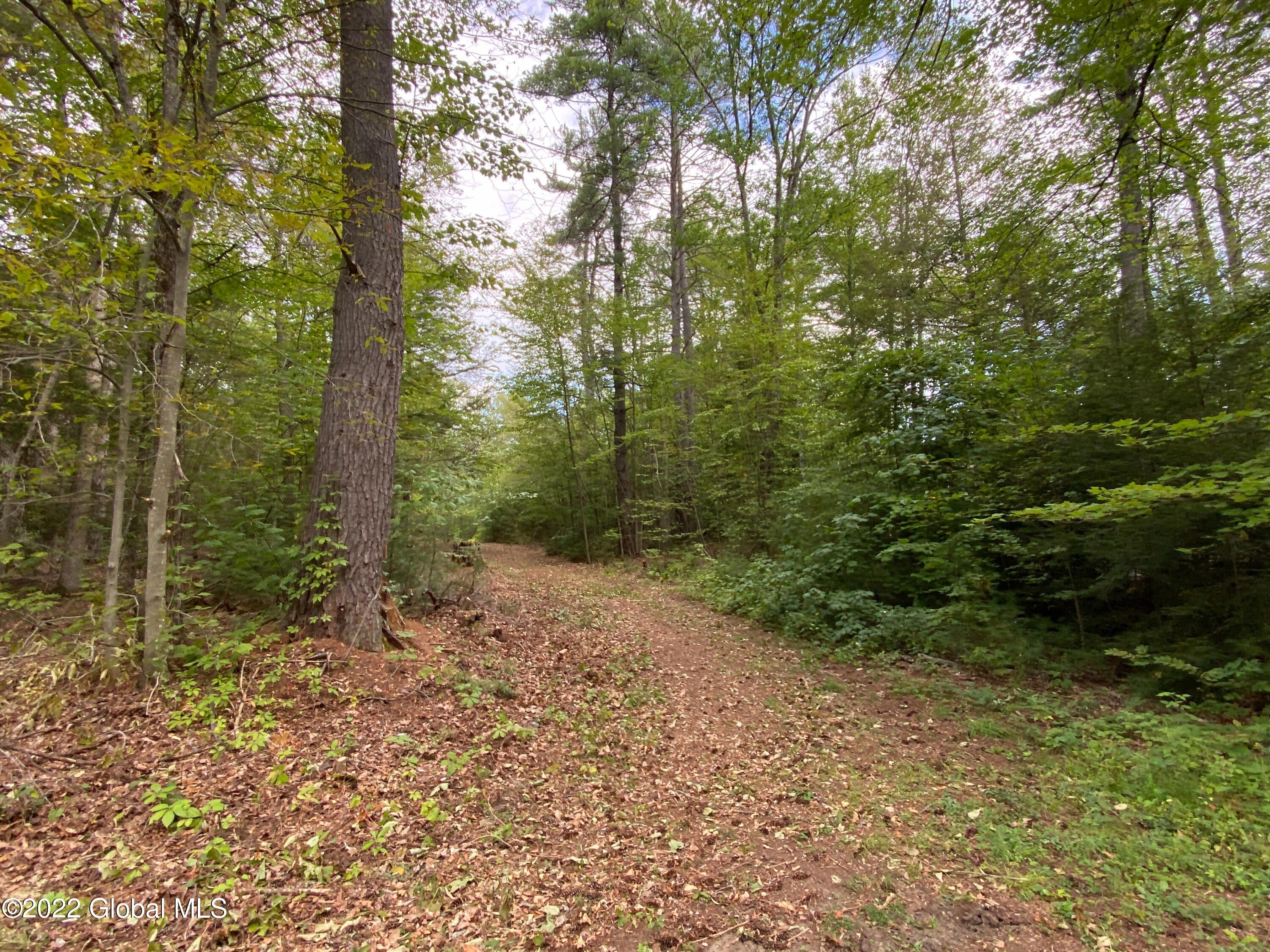 2 Acres, 18 Truesdale Hill Road, Lake NY 12845 Land and Farm