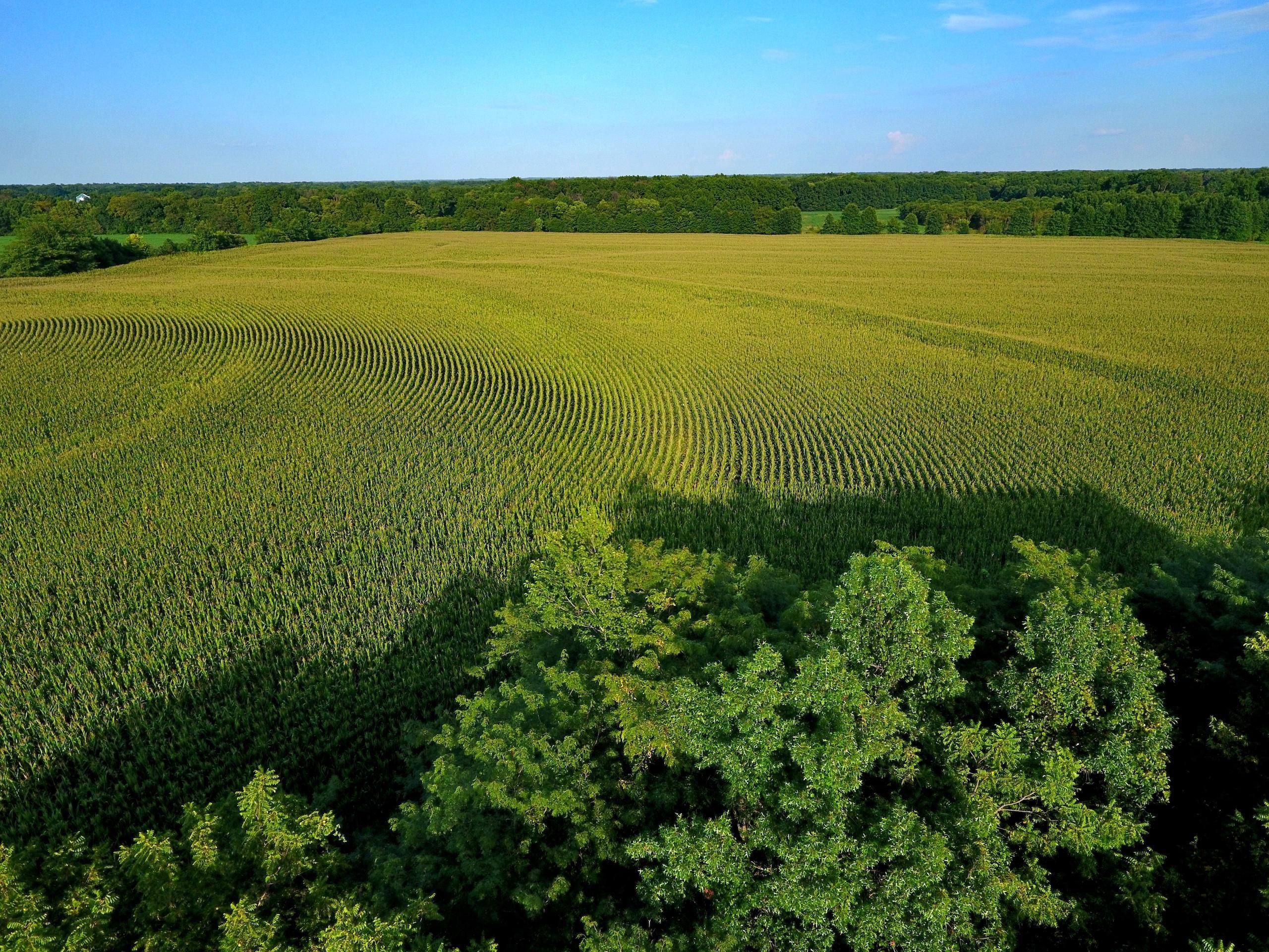 180 Acres, 600th Road, Knob Noster, MO 65336 Land and Farm