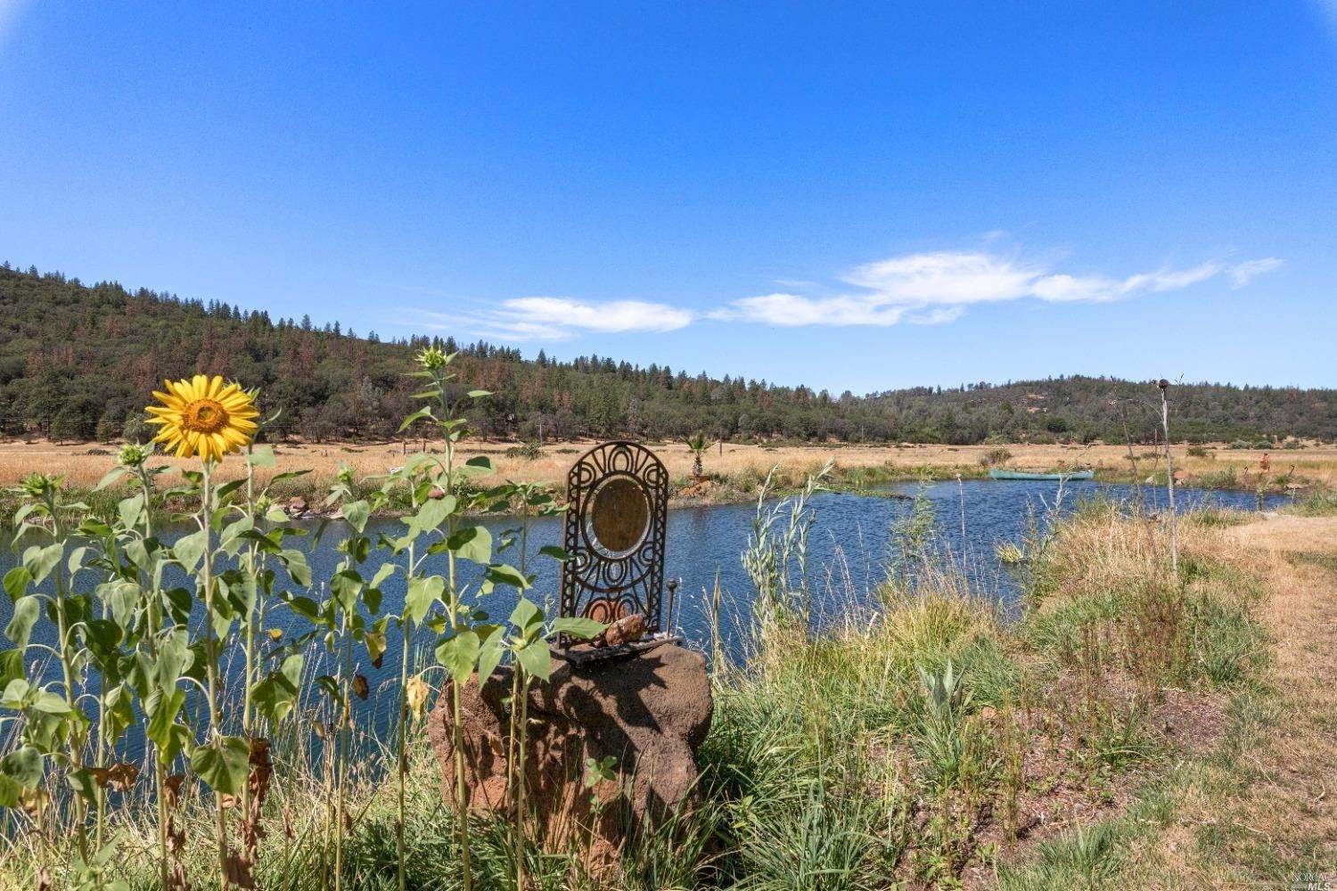 8.82 Acres, 14395 Spruce Grove Road, Lower Lake, CA 95457 Land and Farm