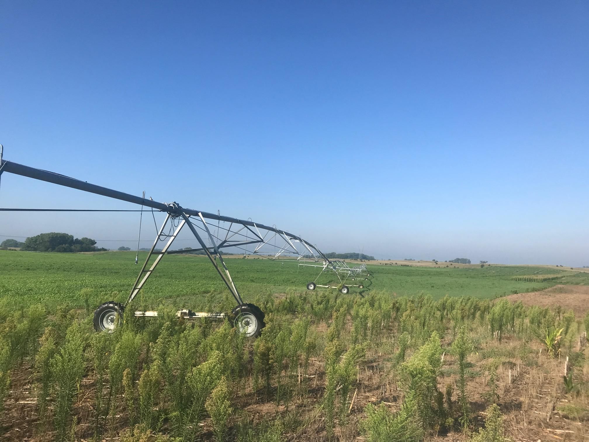 105 Acres, 701 2nd Ave, Saint Libory, NE 68872 Land and Farm