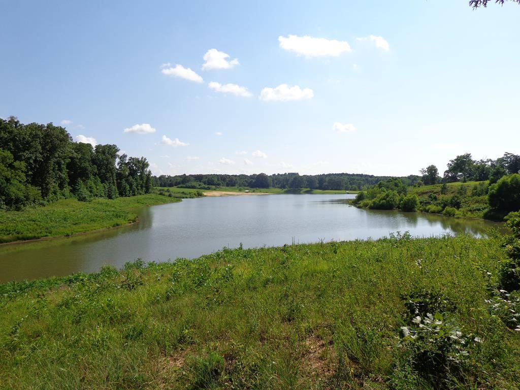 837 Heritage Ln, Puryear, TN 38251 MLS 128014 Land and Farm