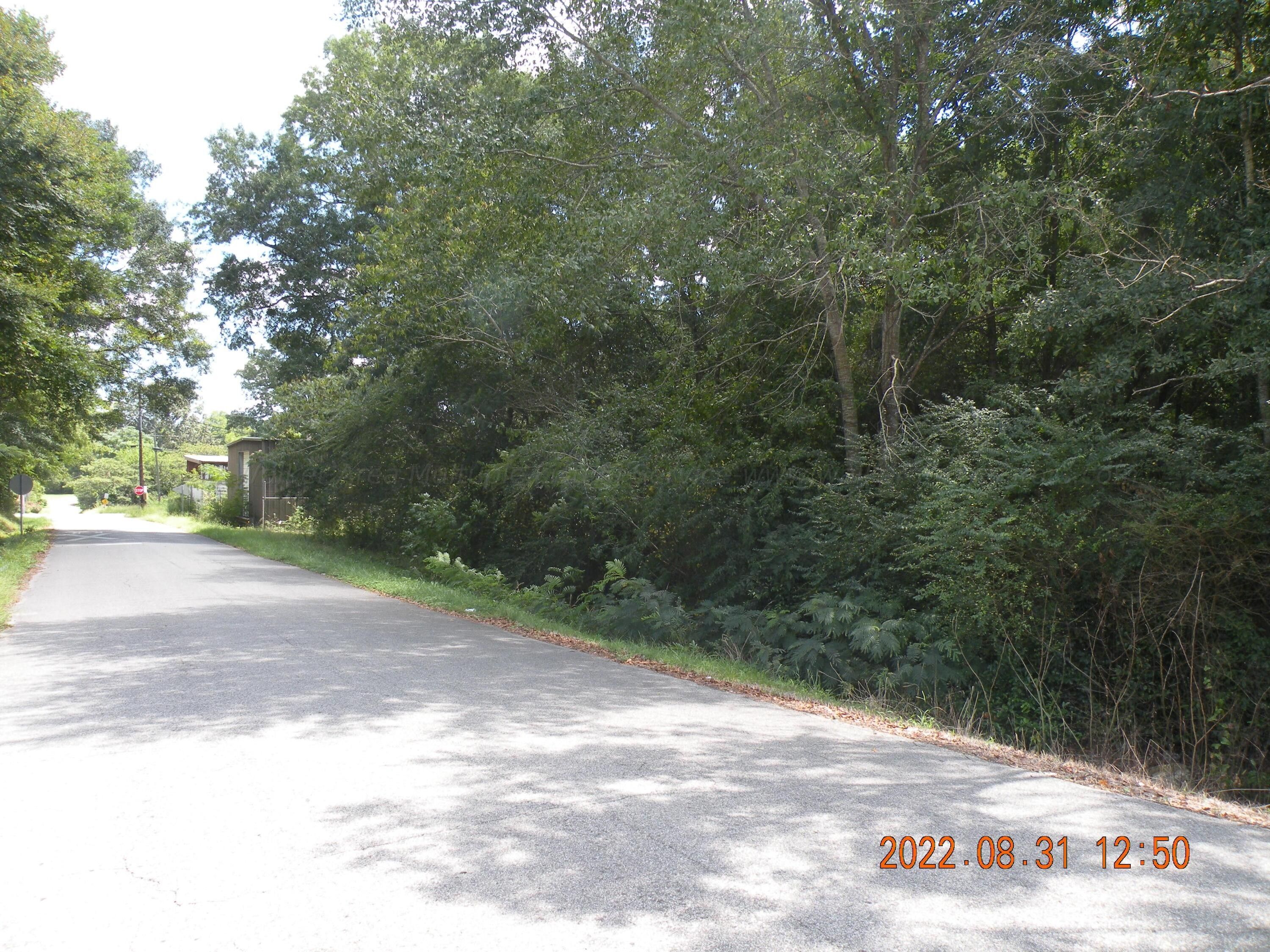 30TH St, Jasper, AL 35501 MLS 221844 Land and Farm