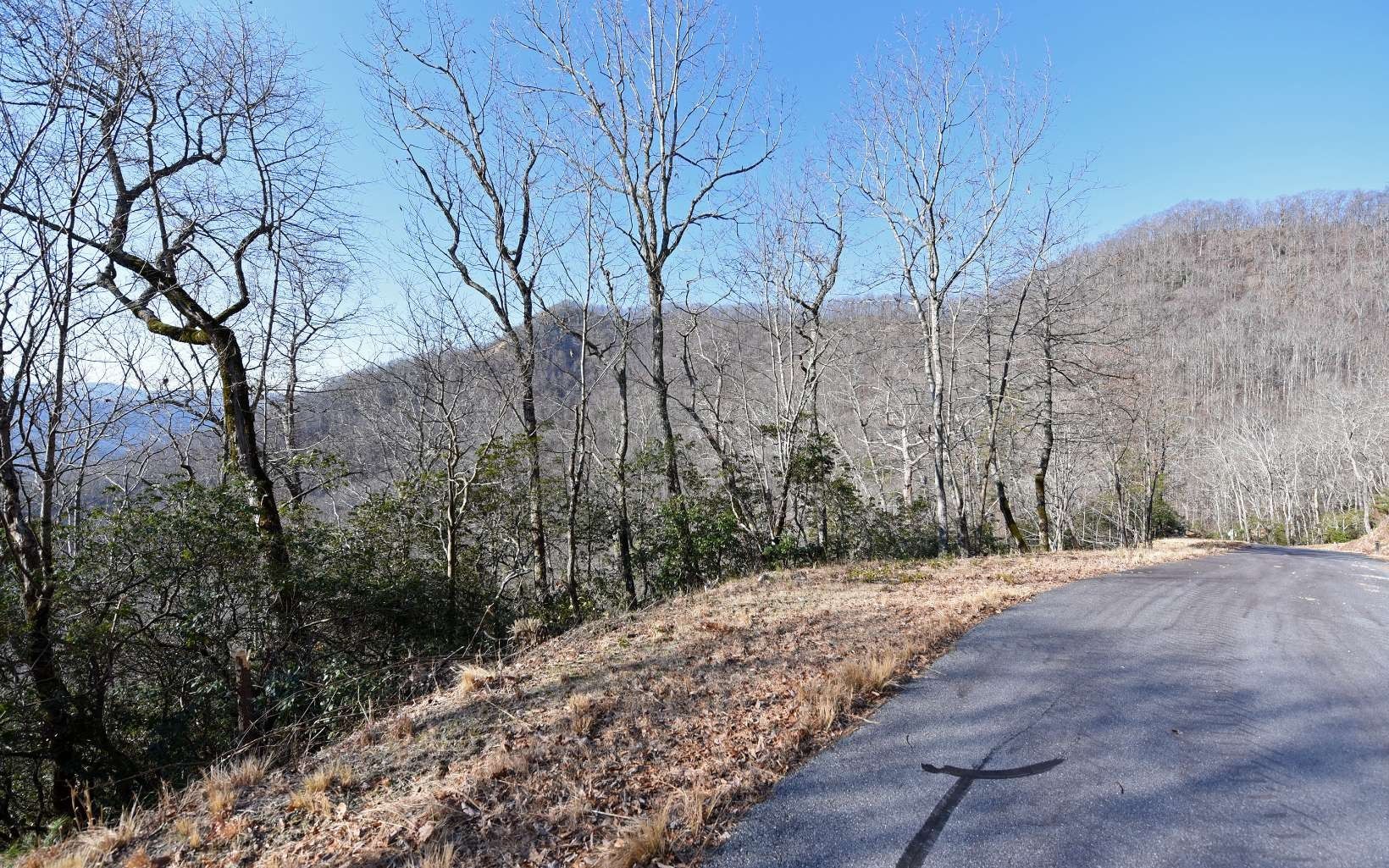 1.85 Acres, LOT21 THE HIGHLANDS, Hiawassee, GA 30546 Land and Farm