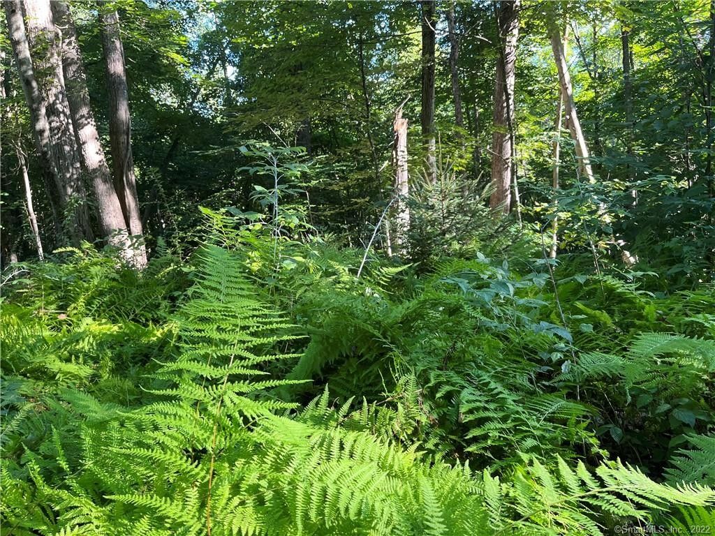 8 Acres, 115 Bunker Hill Road, Andover, CT 06232 Land and Farm