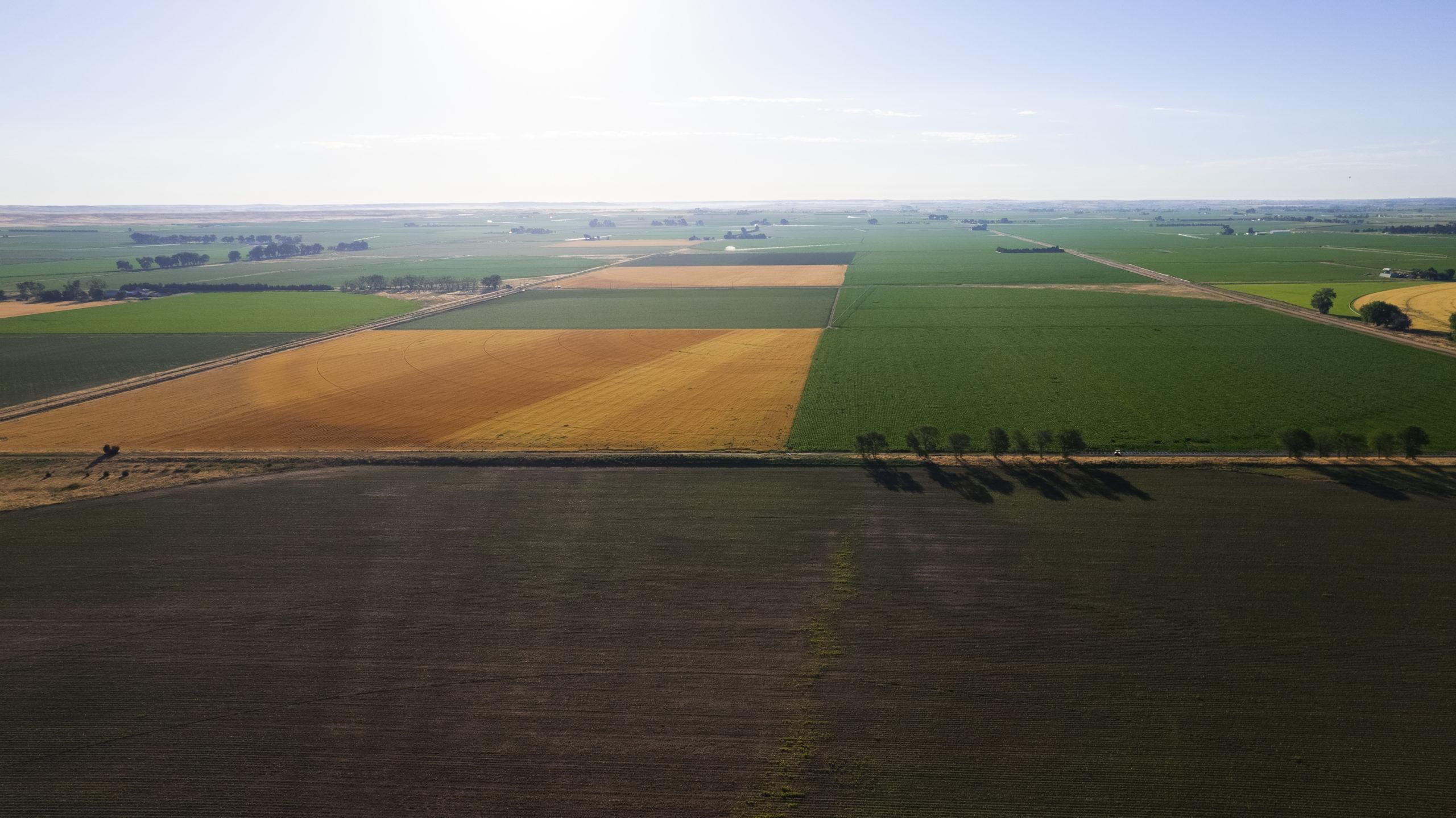 tbd CR 7, Morrill, NE 69358 Land and Farm