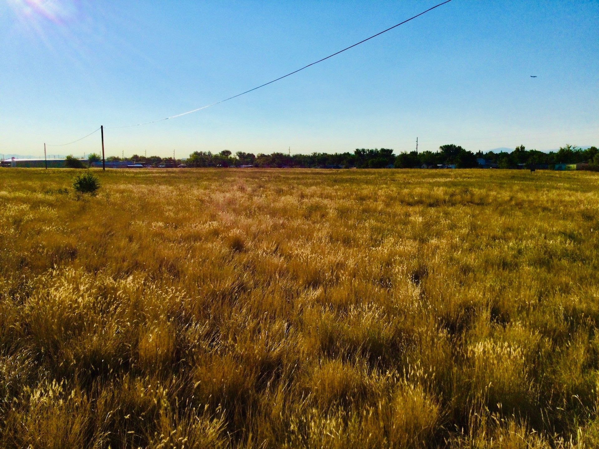 16.01 Acres, 0 Stuckey Road, Great Falls, MT 59404 Land and Farm