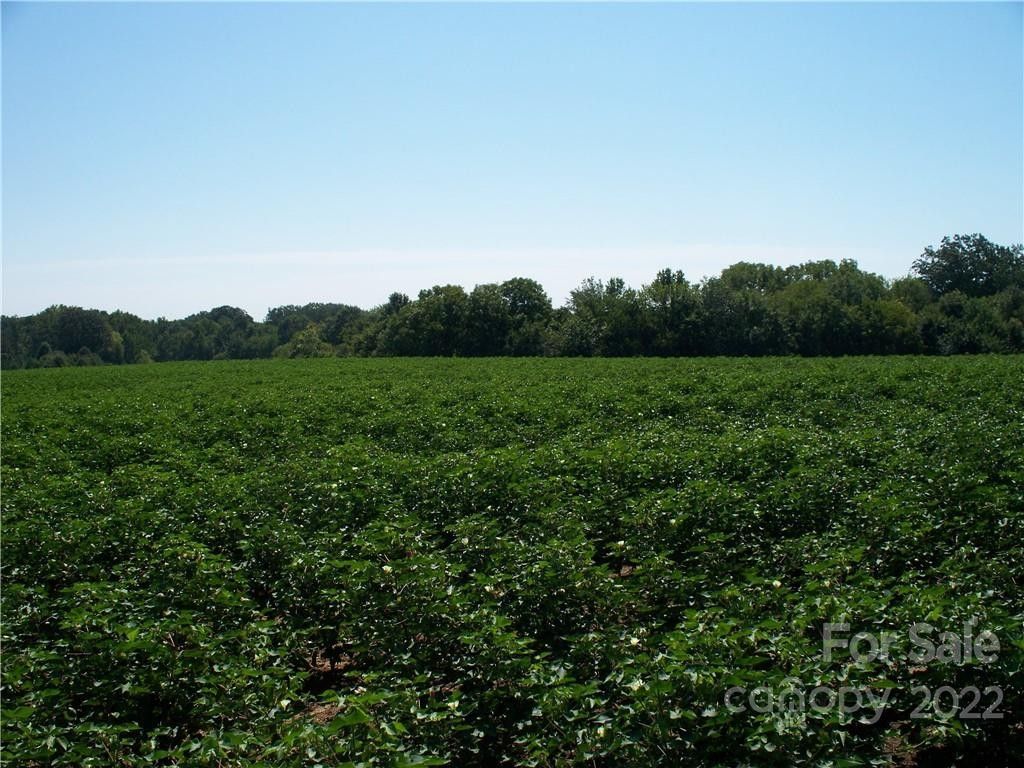 40.76 Acres, 0 Buffalo Shoals Road, Lincolnton, NC 28092 Land and Farm