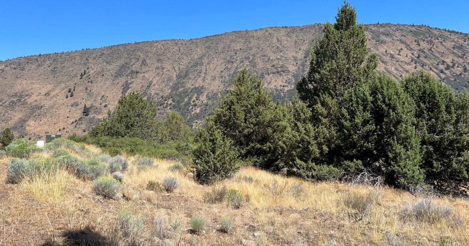 5 Acres, Lot 44 Peregrene Heights, Klamath Falls, OR 97601 Land and Farm