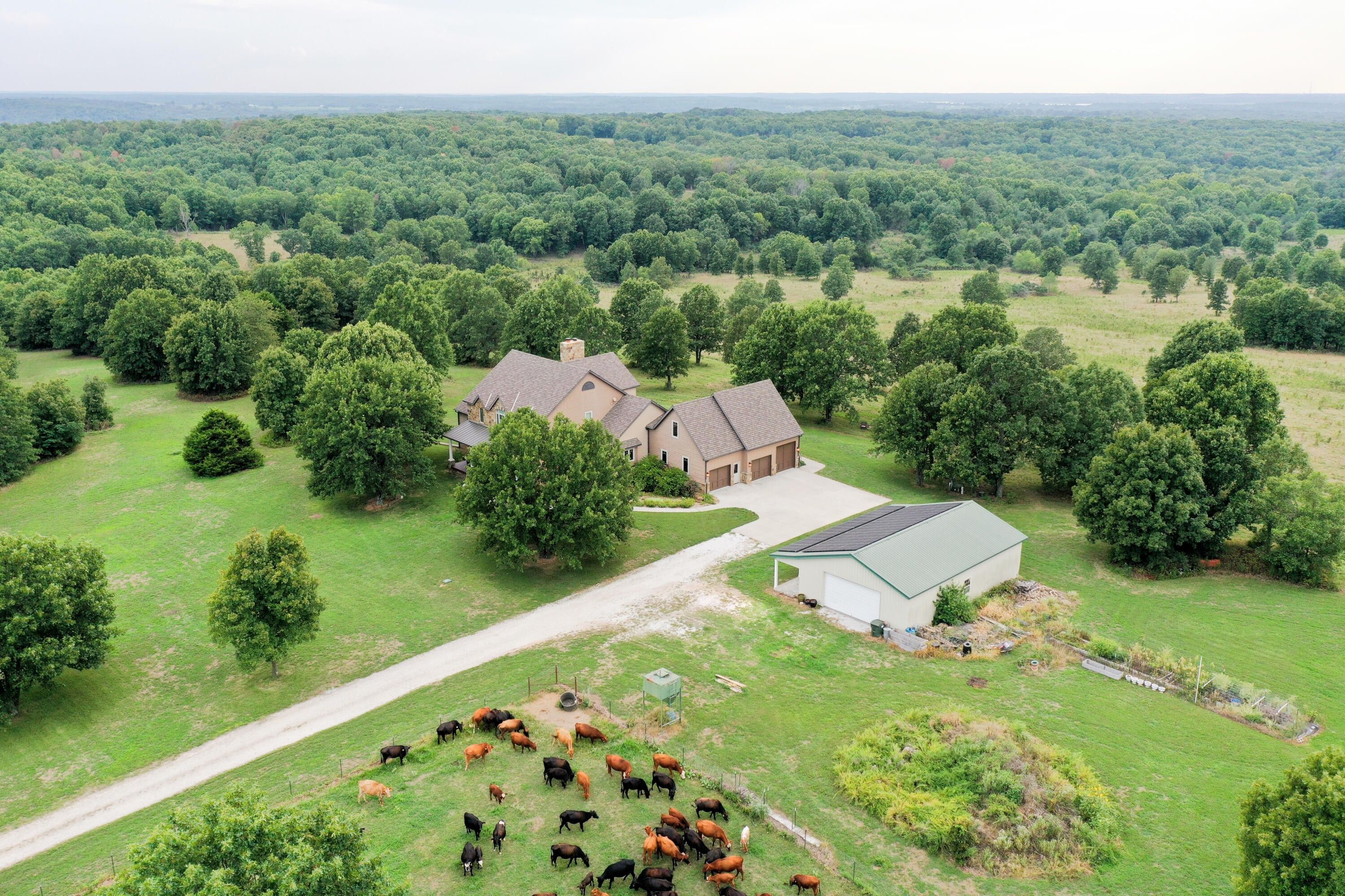 276 Acres, 20965 East Highway M, Stockton, MO 65785 Land and Farm