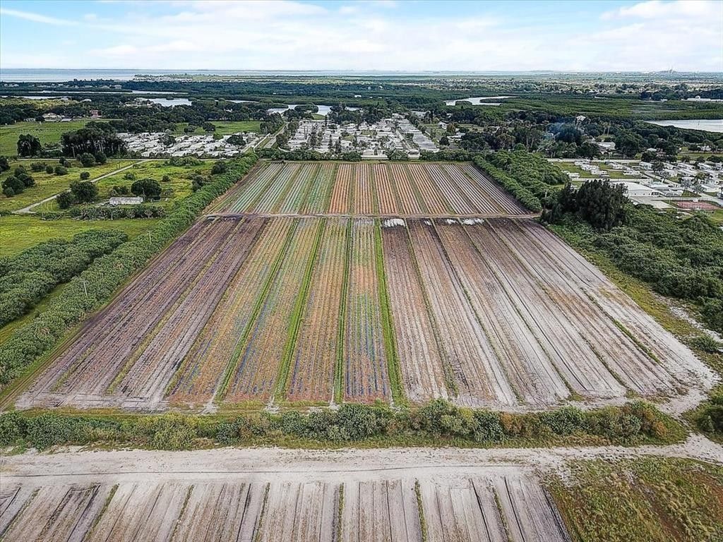 50 Acres, 0 GULF CITY ROAD, Ruskin, FL 33570 Land and Farm