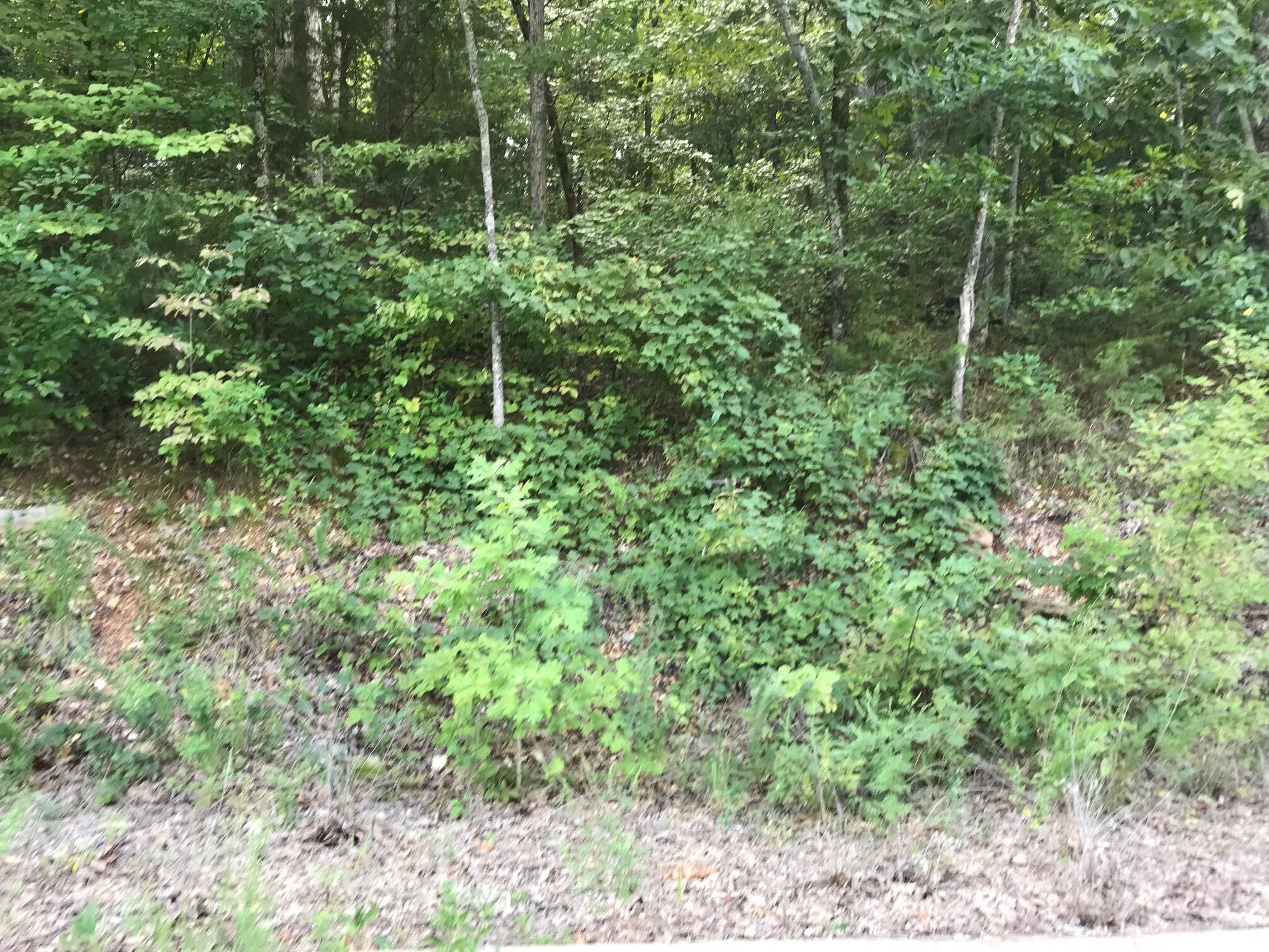 0.55 Acres, Lot 214 Bayview Drive, Hollister, MO 65672 Land and Farm