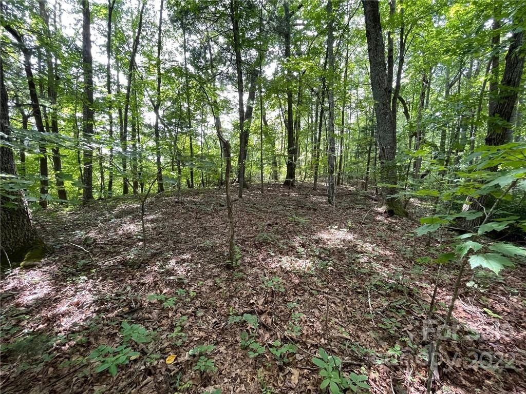 12.09 Acres, Lot P20 Ridgemont Road, Hendersonville, NC 28792 Land