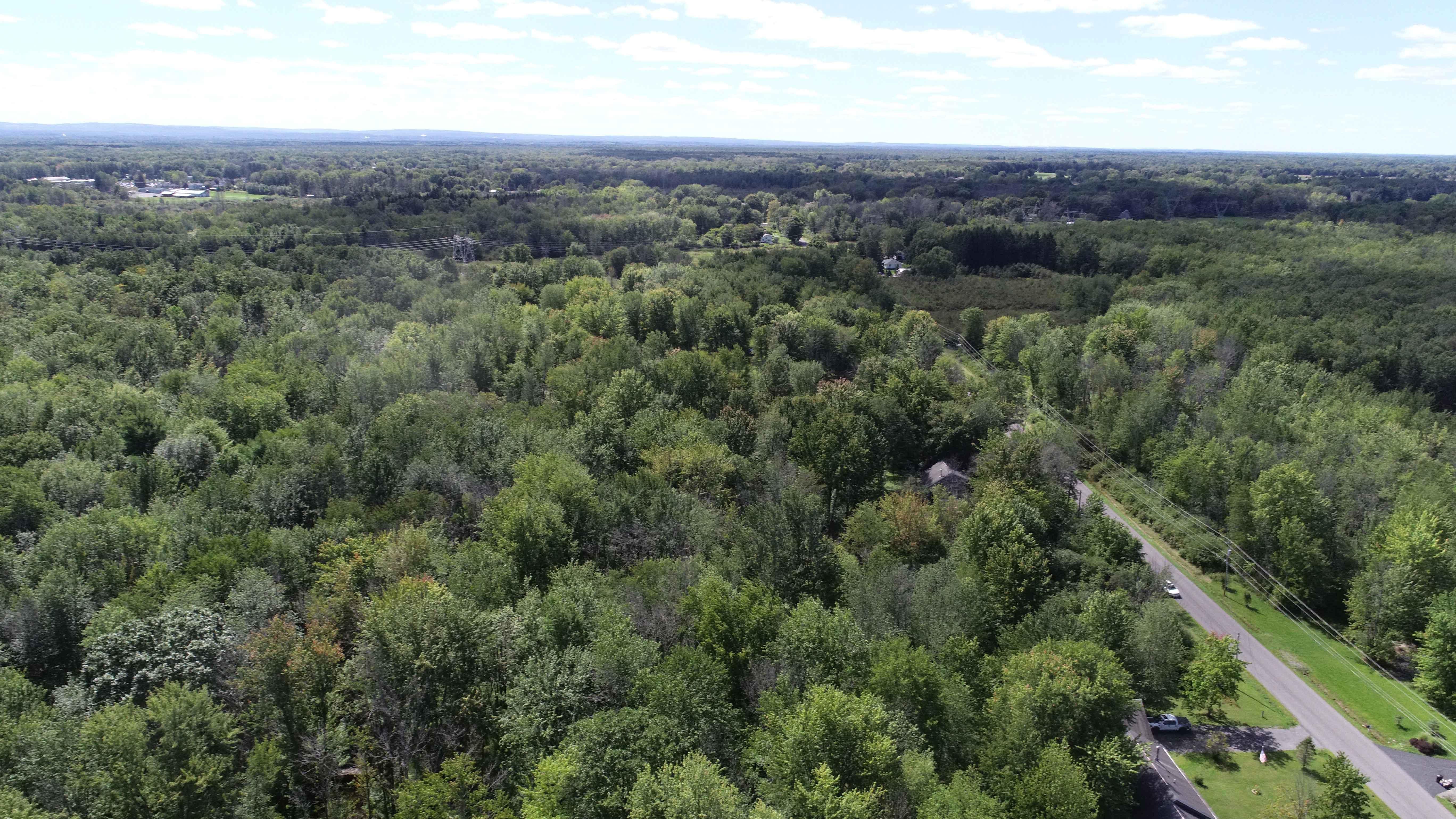 472 Shackelton Point Road, Bridgeport, NY 13030 MLS s1388824 Land