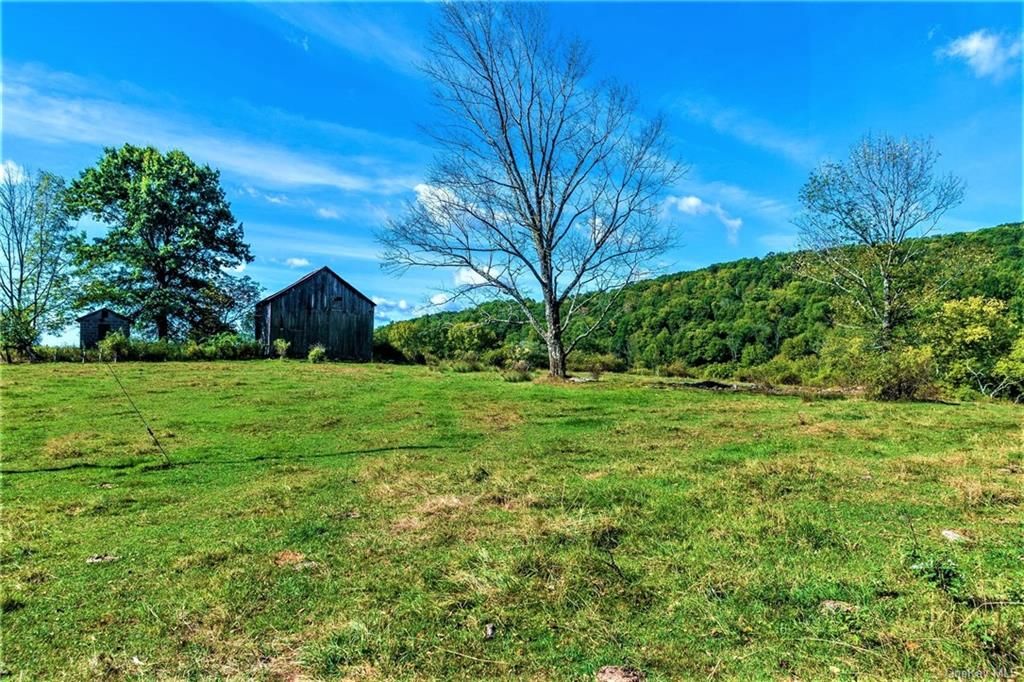 30.3 Acres, 14 Frelich Rd / T R 28, Fremont, NY 12736 Land and Farm