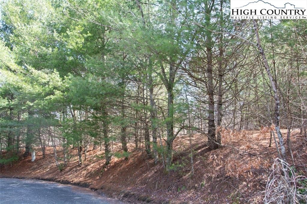 0.83 Acres, Tbd Green Meadows Drive, Todd, NC 28684 Land and Farm