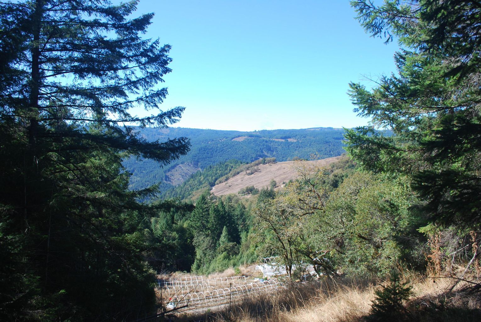 120 Acres, 000 Titlow Hill Road, Blue Lake, CA 95525 Land and Farm