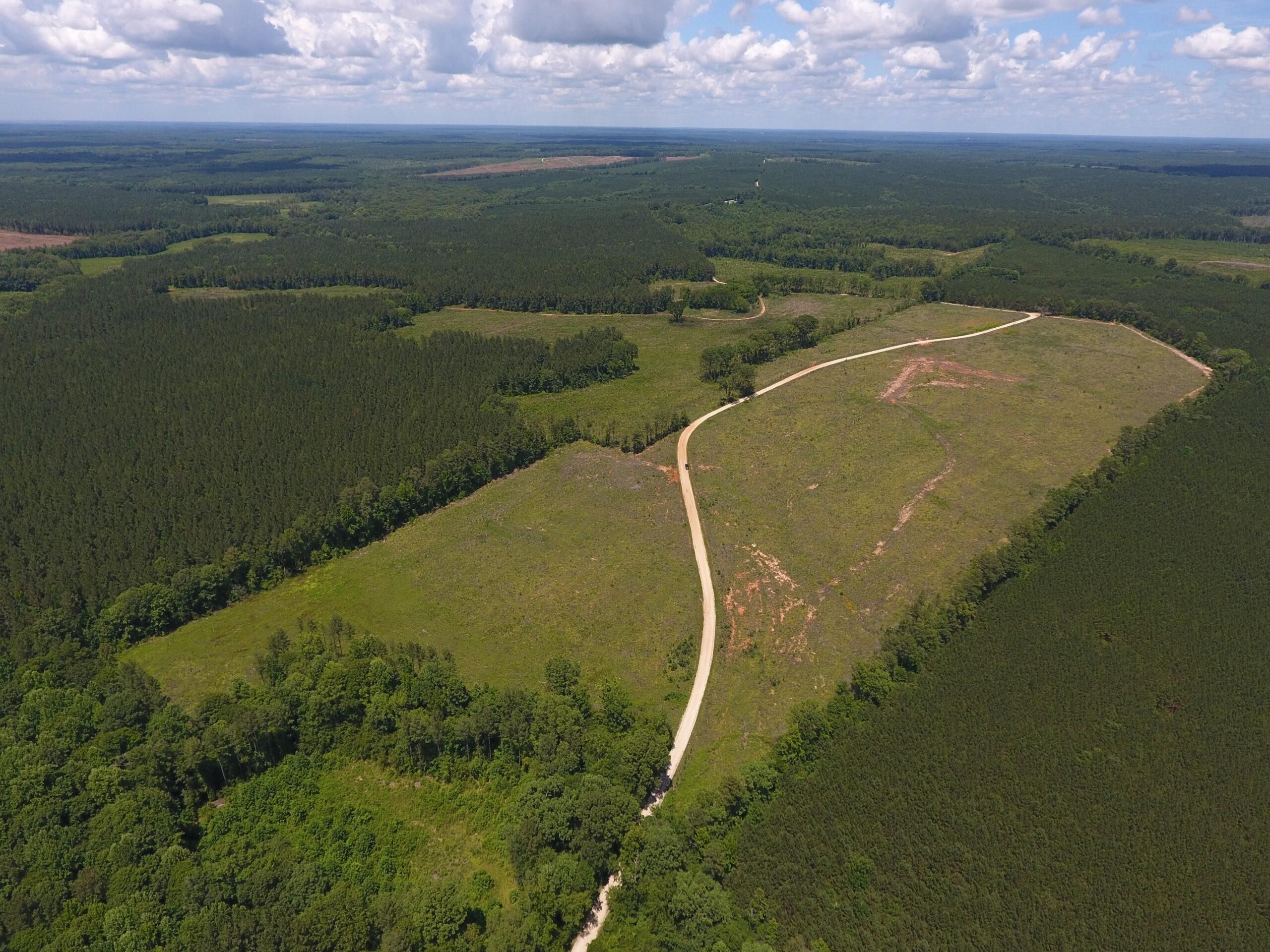 61 Acres, Saluda County, South Carolina, Chappells, SC 29037 Land and Farm