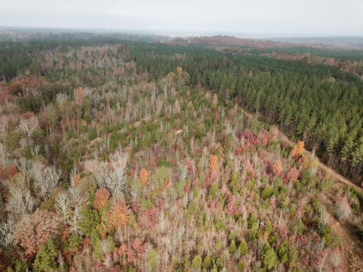 188 Acres, Richburg, SC 29729 Land and Farm