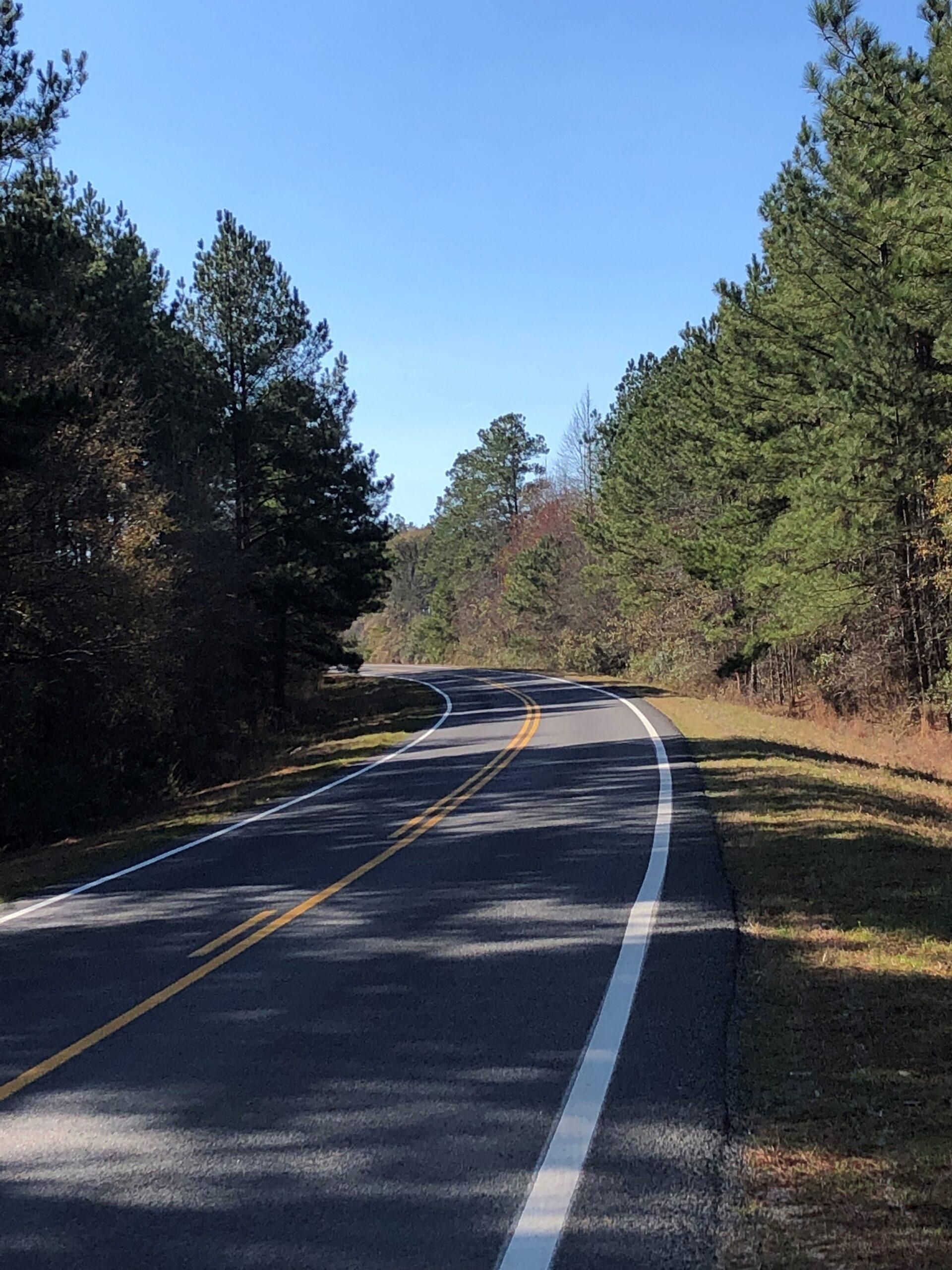 38 Acres, Bacon County, Alma, GA 31510 Land and Farm