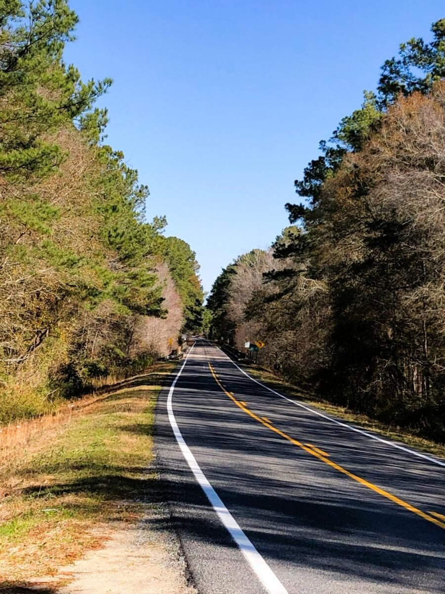 Bacon County, Alma, GA 31510 Land and Farm