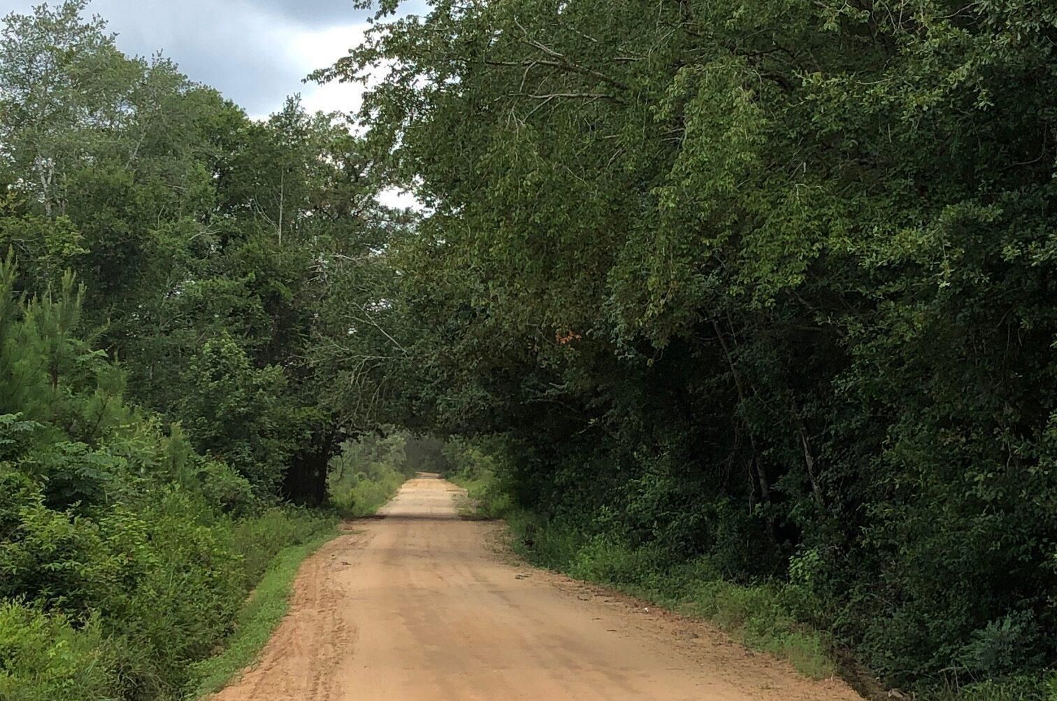 215 Acres, Dodge County, Rhine, GA 31077 Land and Farm