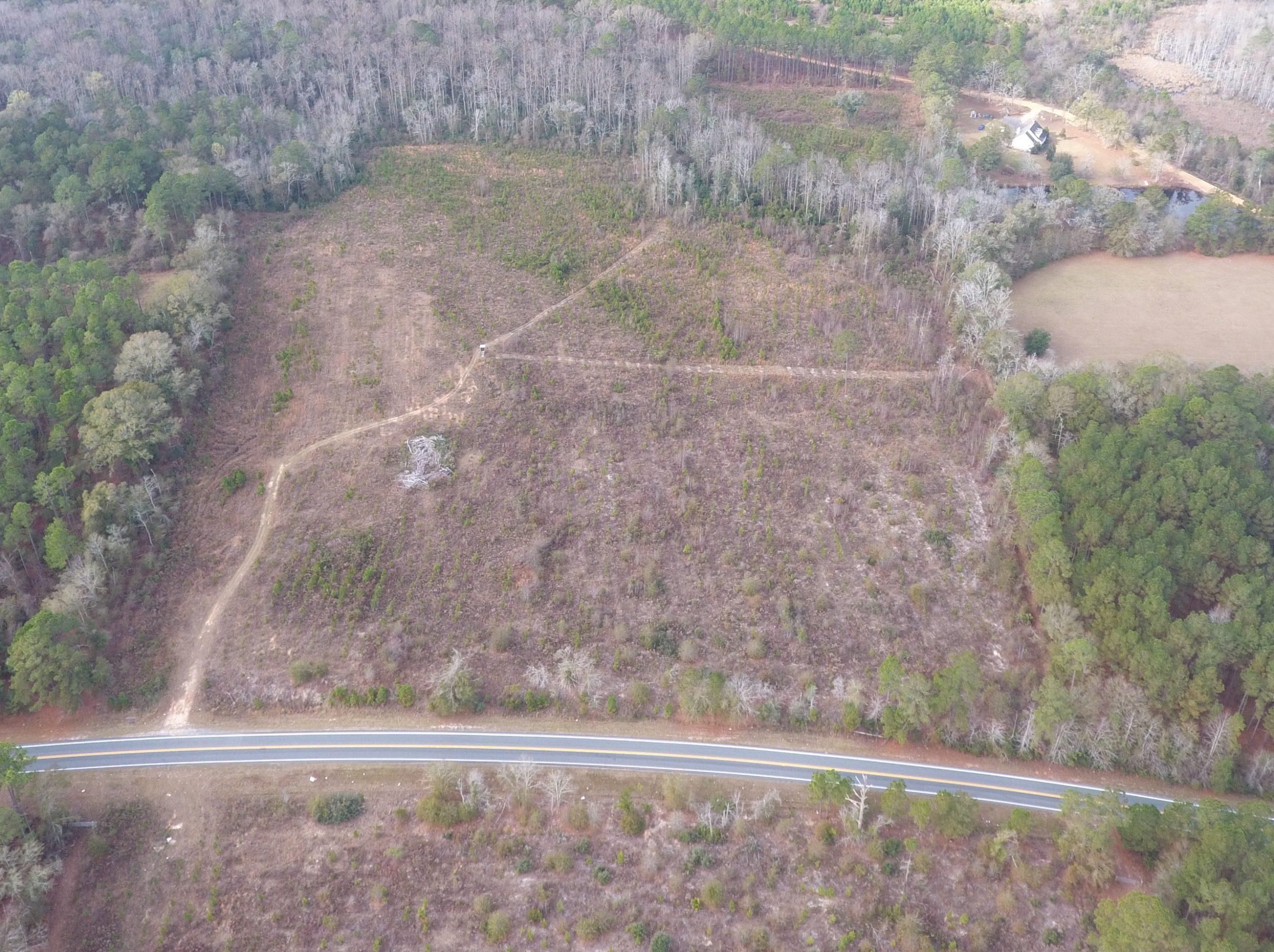 30.67 Acres, Bacon County, Alma, GA 31510 Land and Farm