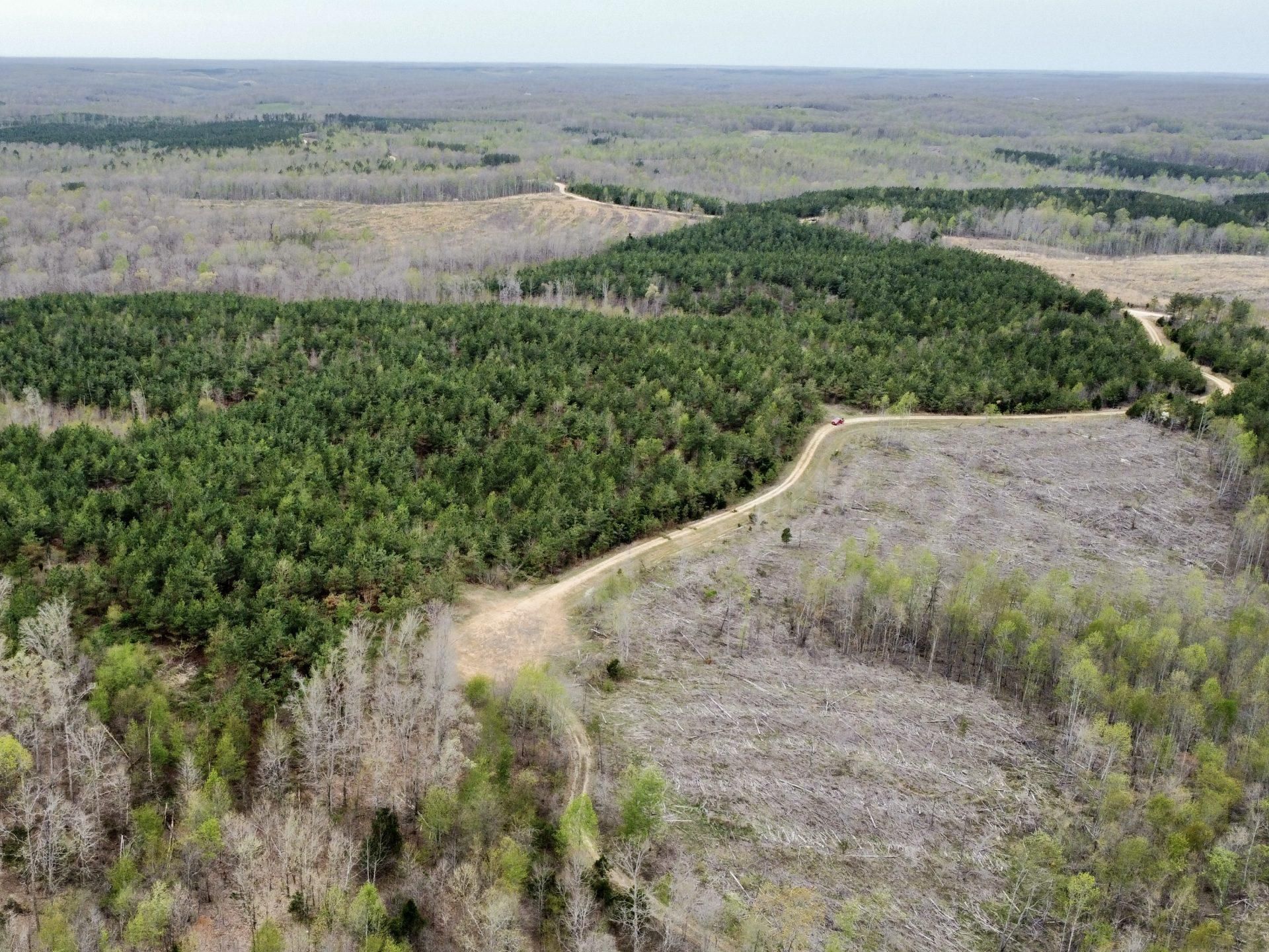 75 Acres, Houston County, Tennessee, Erin, TN 37061 Land and Farm