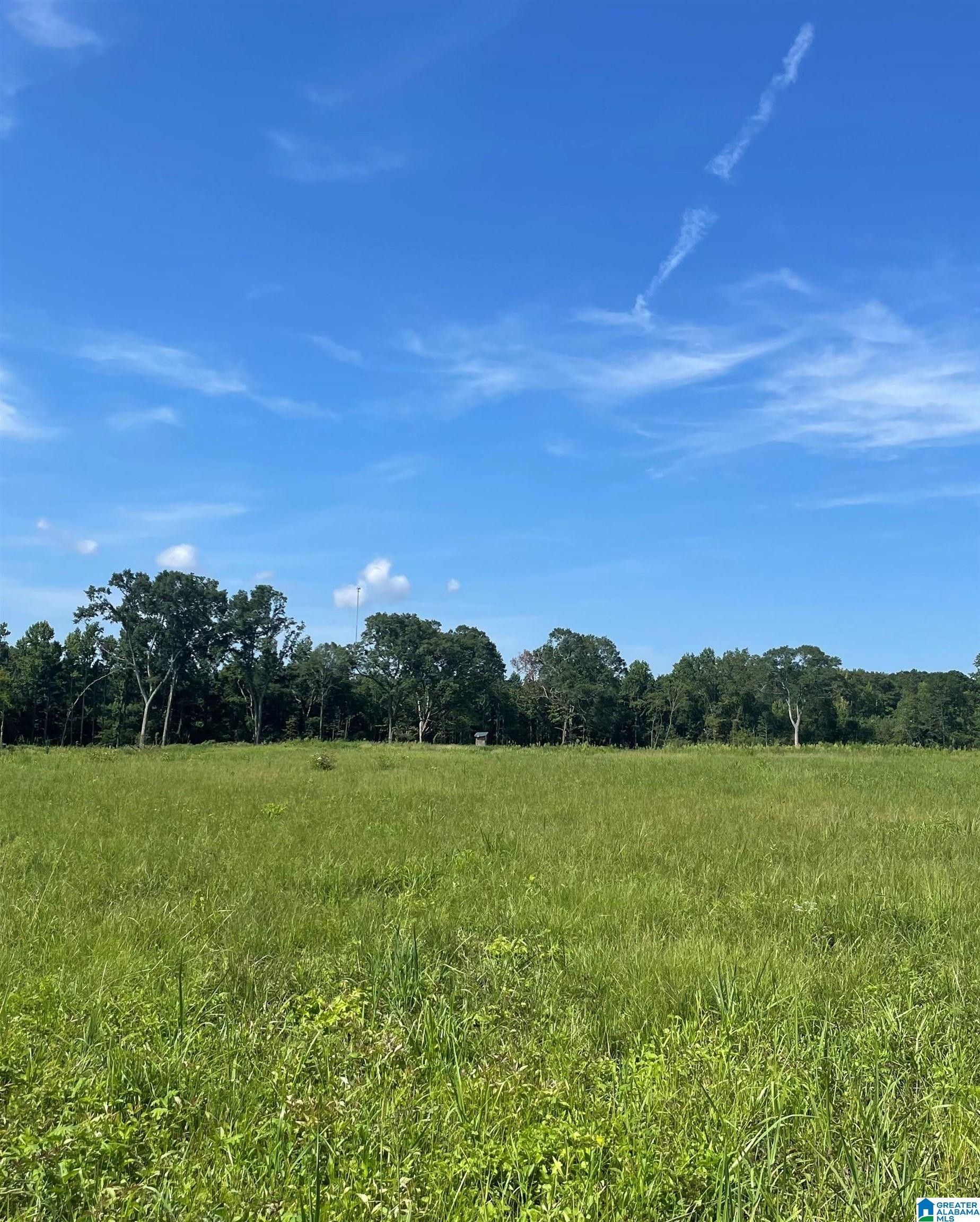 8.6 Acres, 0 COUNTY ROAD 403, Clanton, AL 35045 Land and Farm