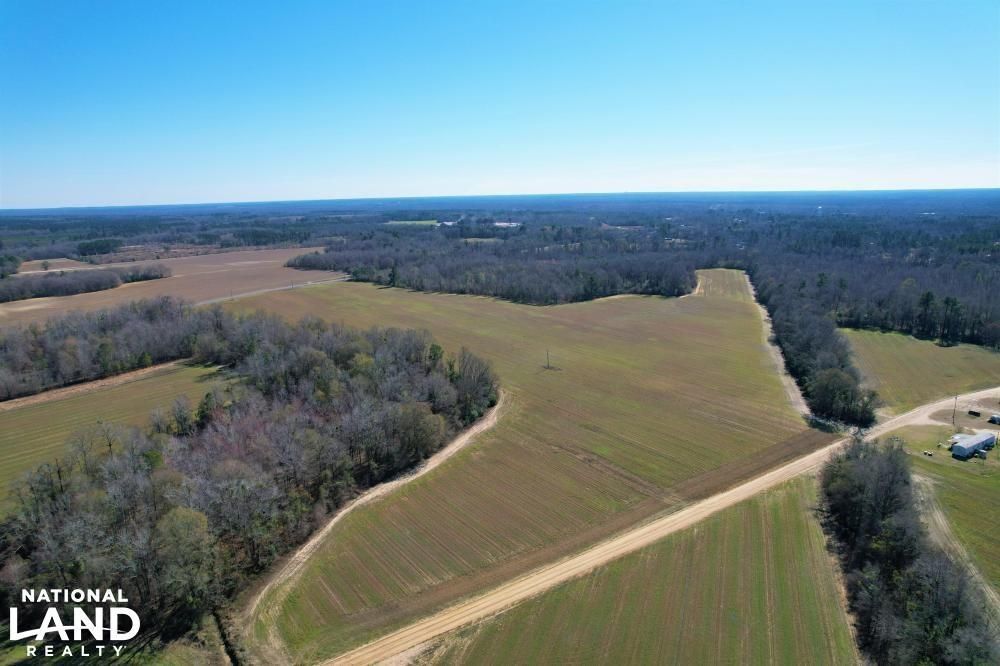359 Acres, Highway 205, Midville, GA 30441 Land and Farm