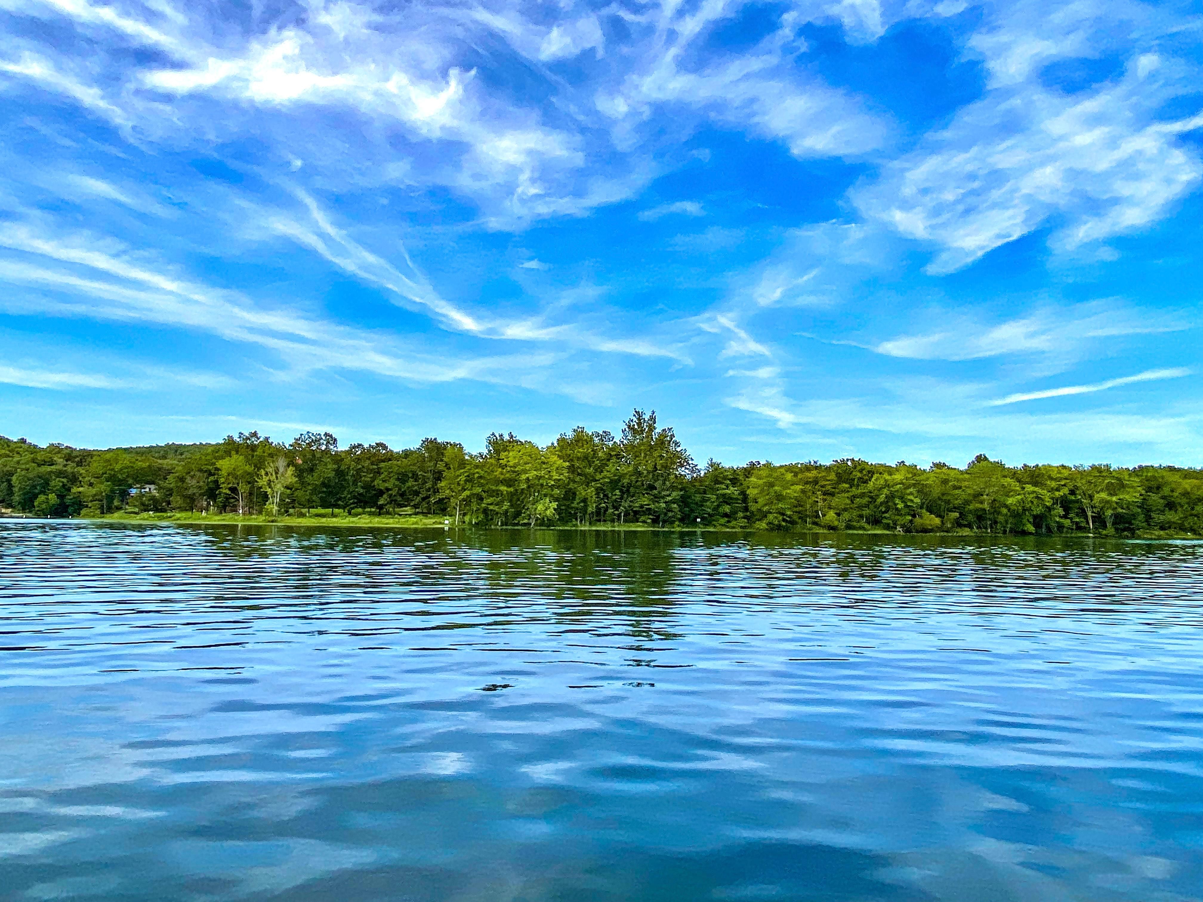 1821 Fox Point, Horseshoe Bend, AR 72512 Land and Farm