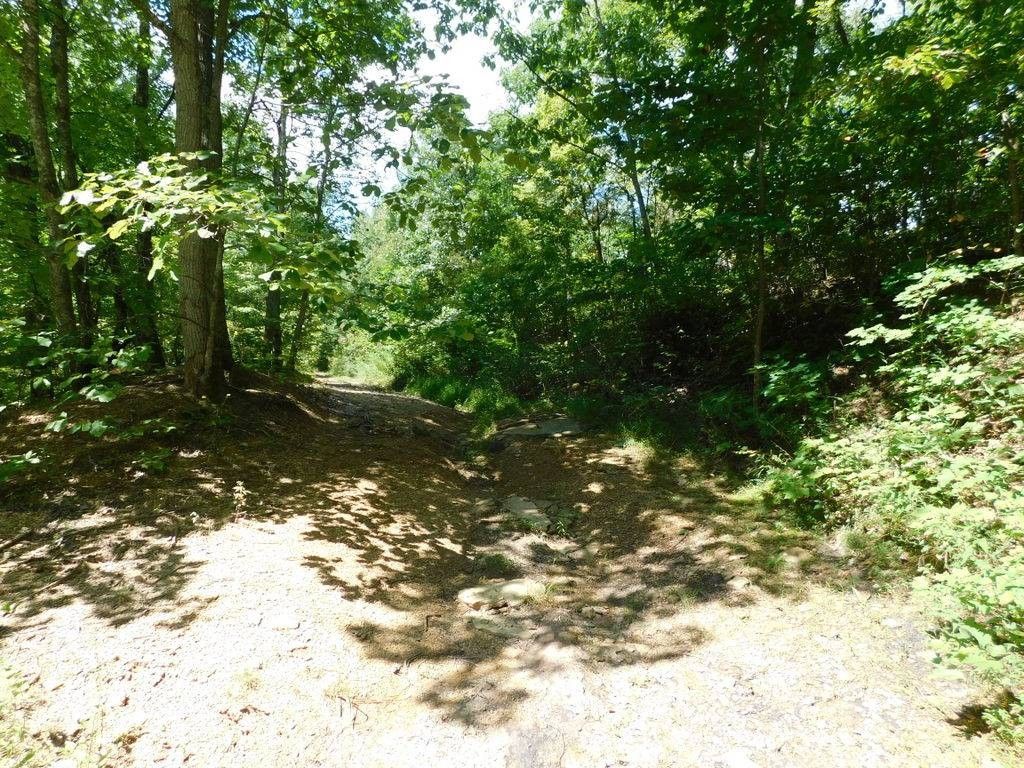 76 Acres, 0 Spring Branch Road, West Liberty, KY 41472 Land and Farm