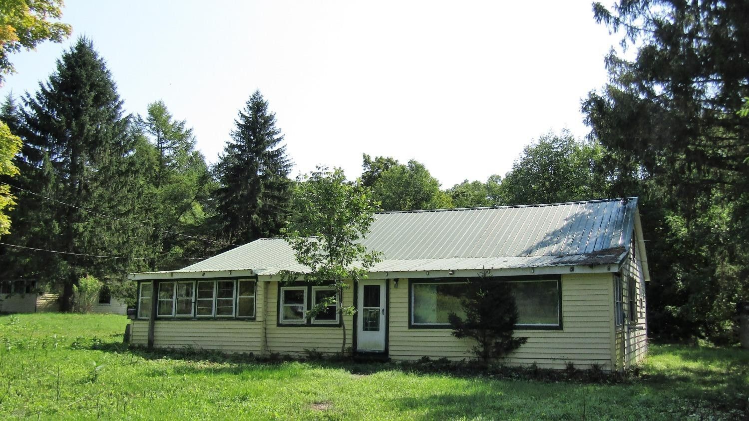 1.2 Acres, 768 POTTER MTN. Road, Conesville, NY 12076 Land and Farm