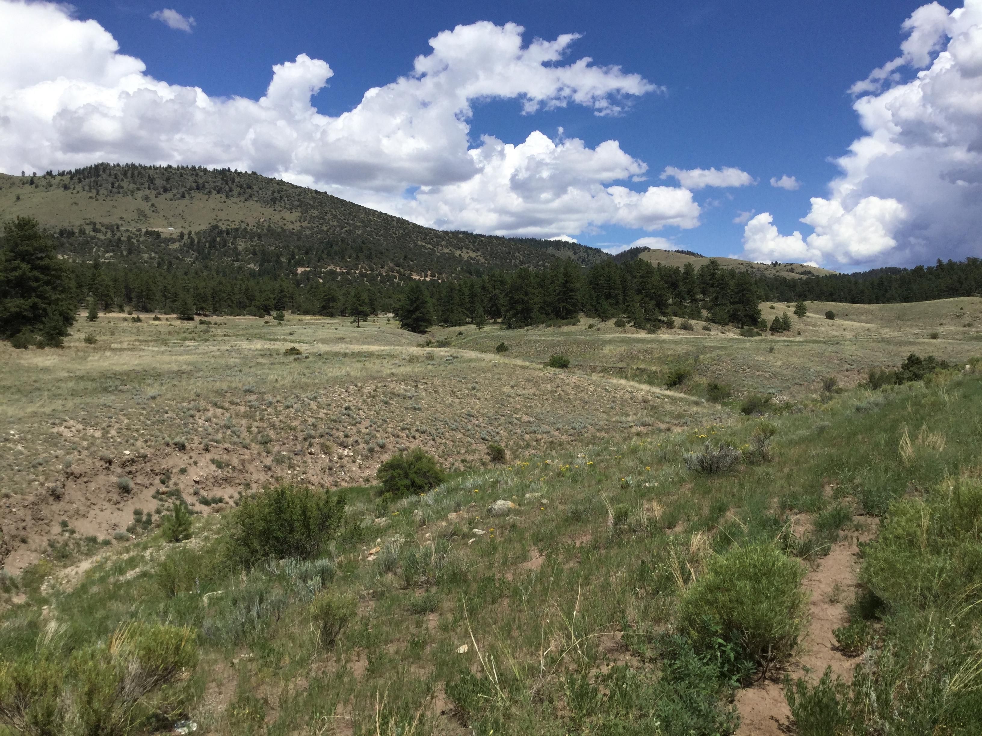 County Road 183, Salida, CO 81201 MLS Exclusive Land and Farm