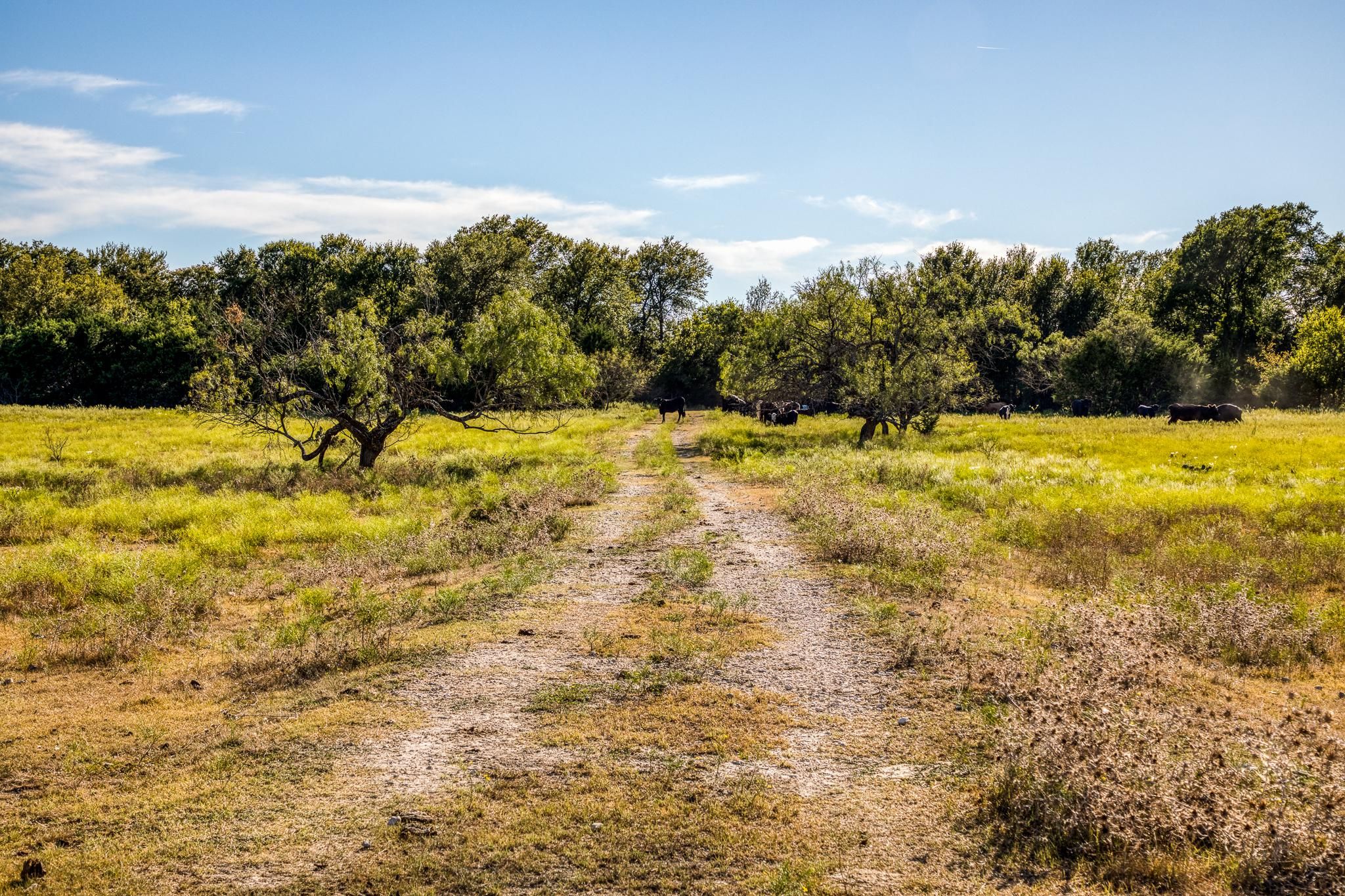 County Road 2200, Lometa, TX 76853 Land and Farm