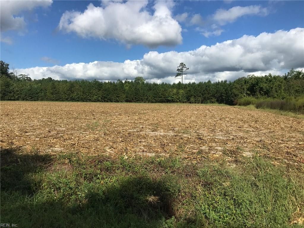 3.79 Acres, Par. B Yellow Hammer Road, Zuni, VA 23898 Land and Farm