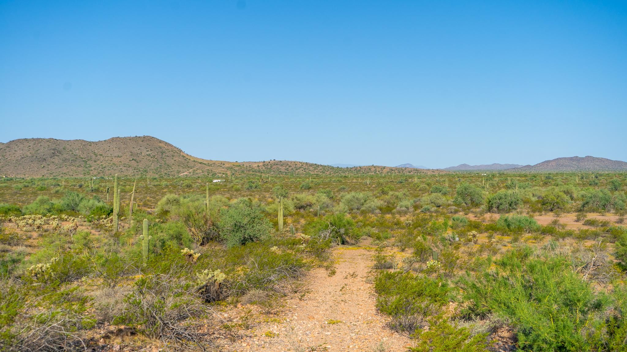 5 Acres, Wittmann, AZ 85361 Land and Farm