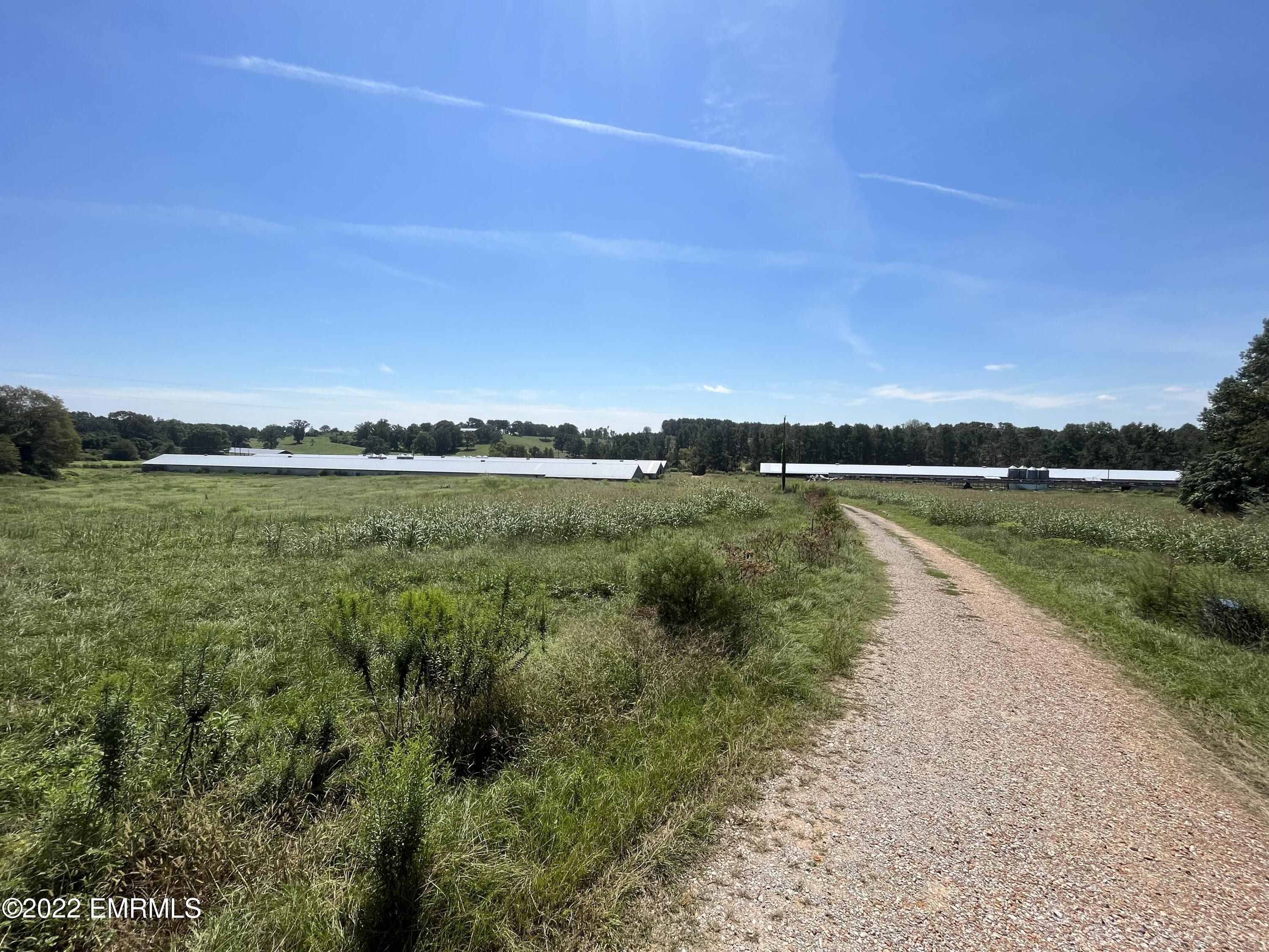 22 Acres, 1475 Comans Road, Carthage, MS 39051 Land and Farm