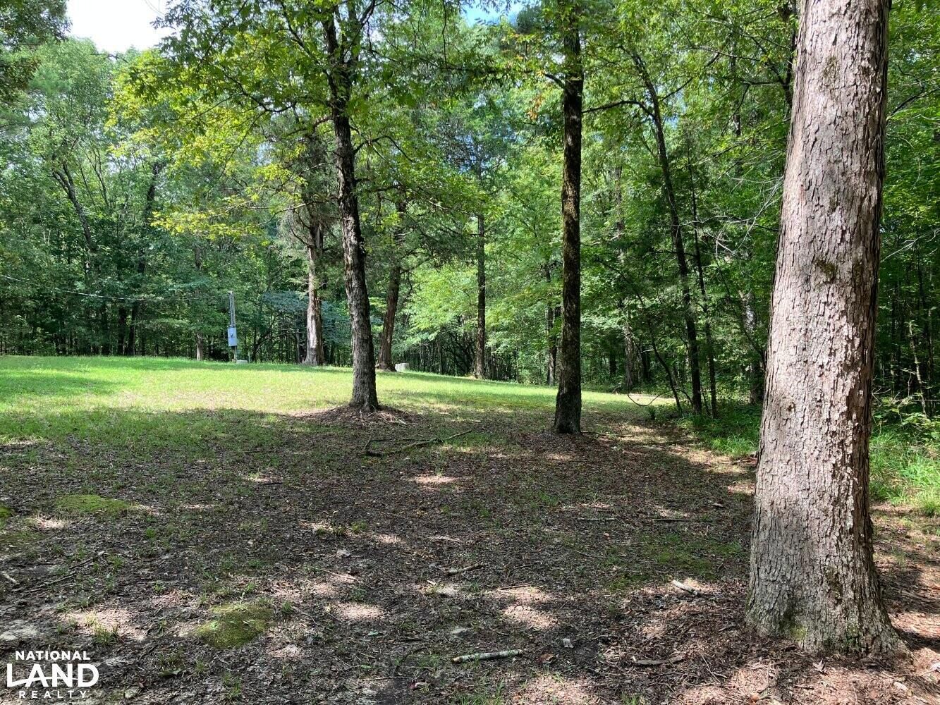 80 Acres, 1624 Cedar Lane, Crawford, MS 39743 Land and Farm