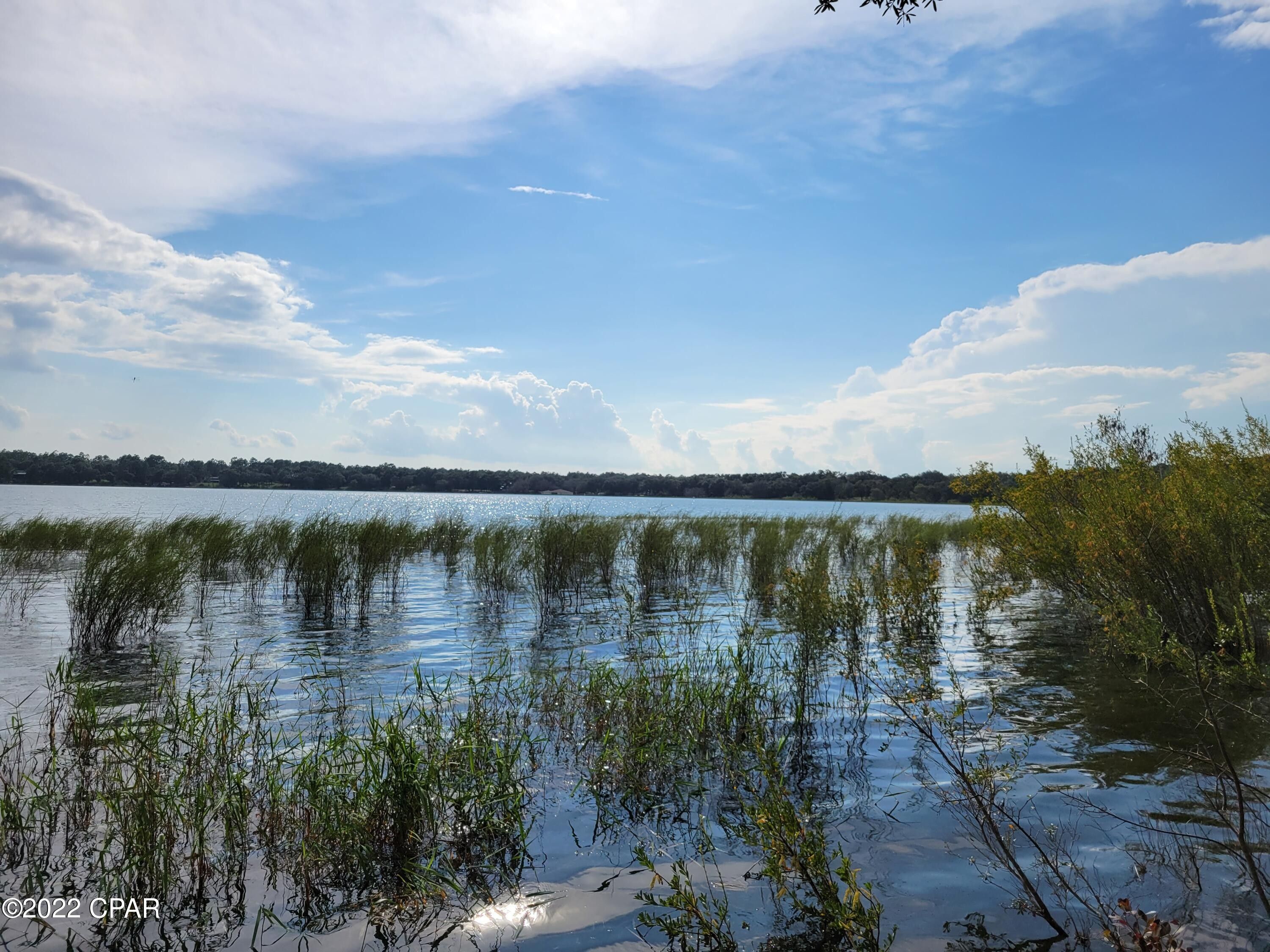 1.03 Acres, Lot A36 Leisure Lakes Drive, Chipley, FL 32428 Land and Farm