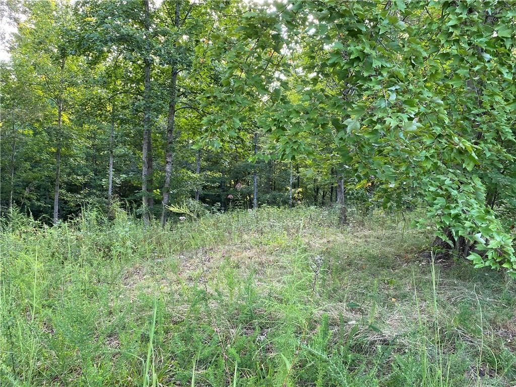 1 Acres, 00 Robinhood Drive, Walhalla, SC 29691 Land and Farm