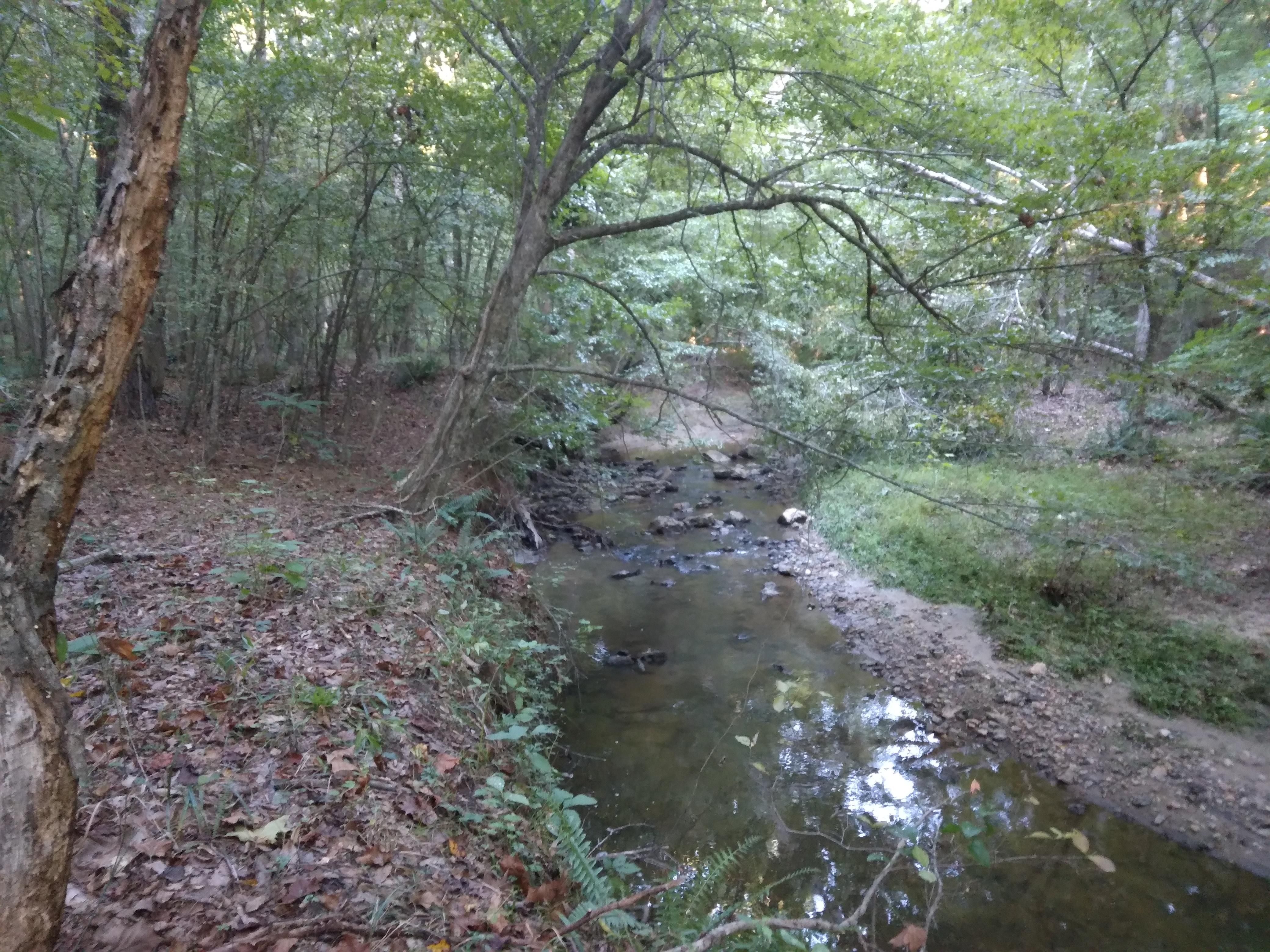 6.11 Acres, 3400 River Manor Court, Franklinton, NC 27522 Land and Farm