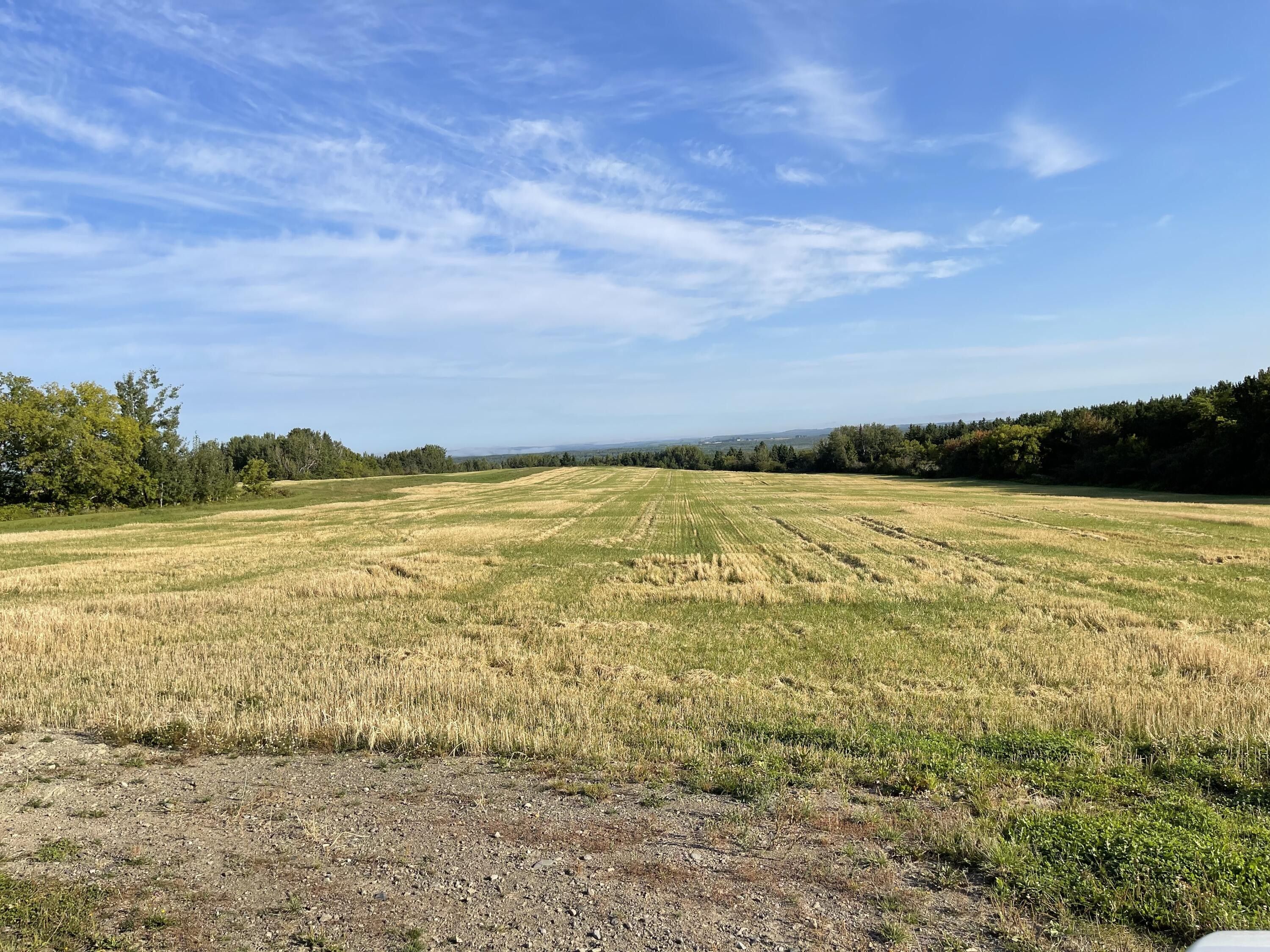 61 Acres, Map1lot30 Mapleton Road, Mapleton, ME 04757 Land and Farm