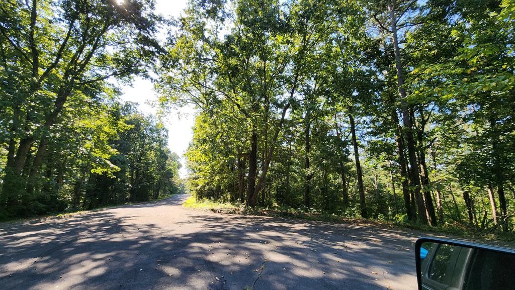 0.79 Acres, Battle Ridge Drive, Dalton, GA 30721 Land and Farm