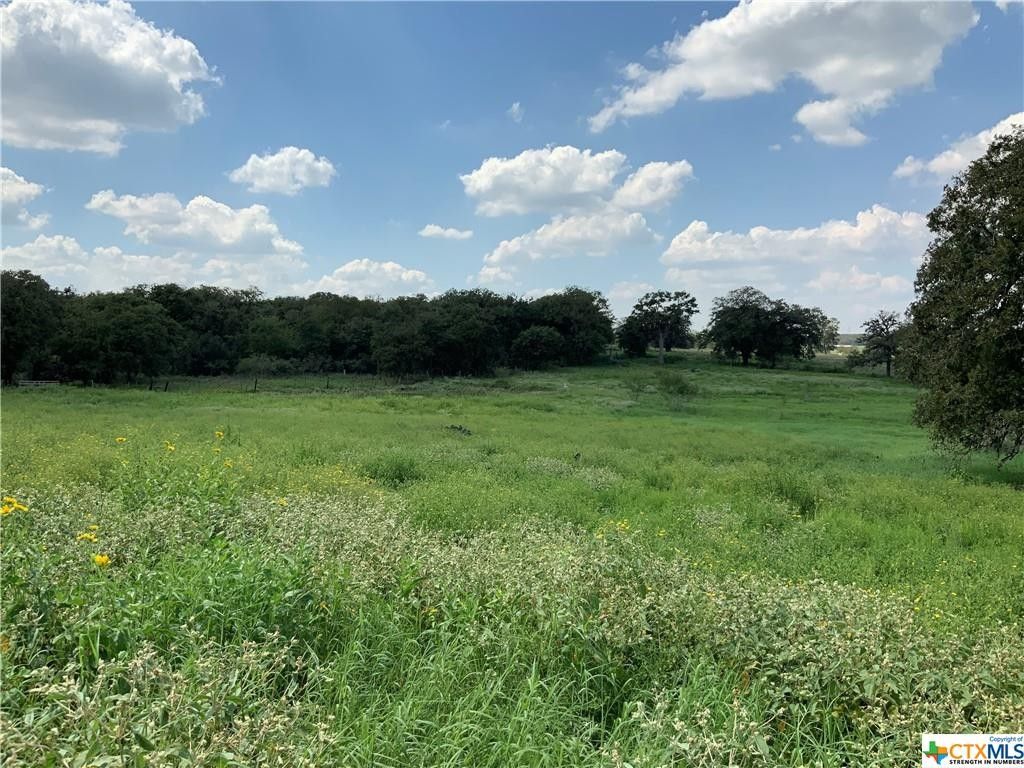 10.76 Acres, Nixon, TX 78140 Land and Farm