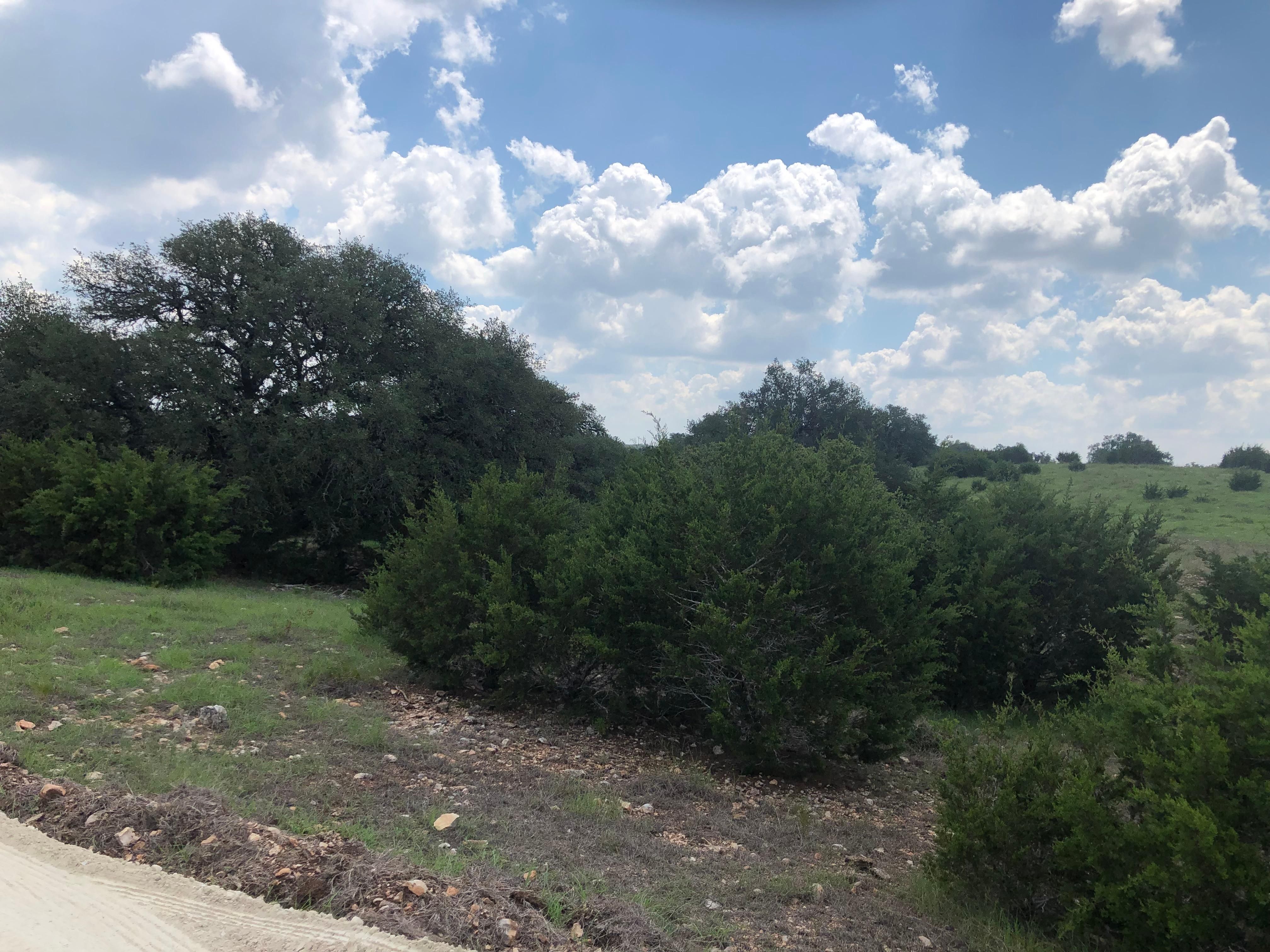 32.27 Acres, ZennerAhrens Rd, Fredericksburg, TX 78624 Land and Farm